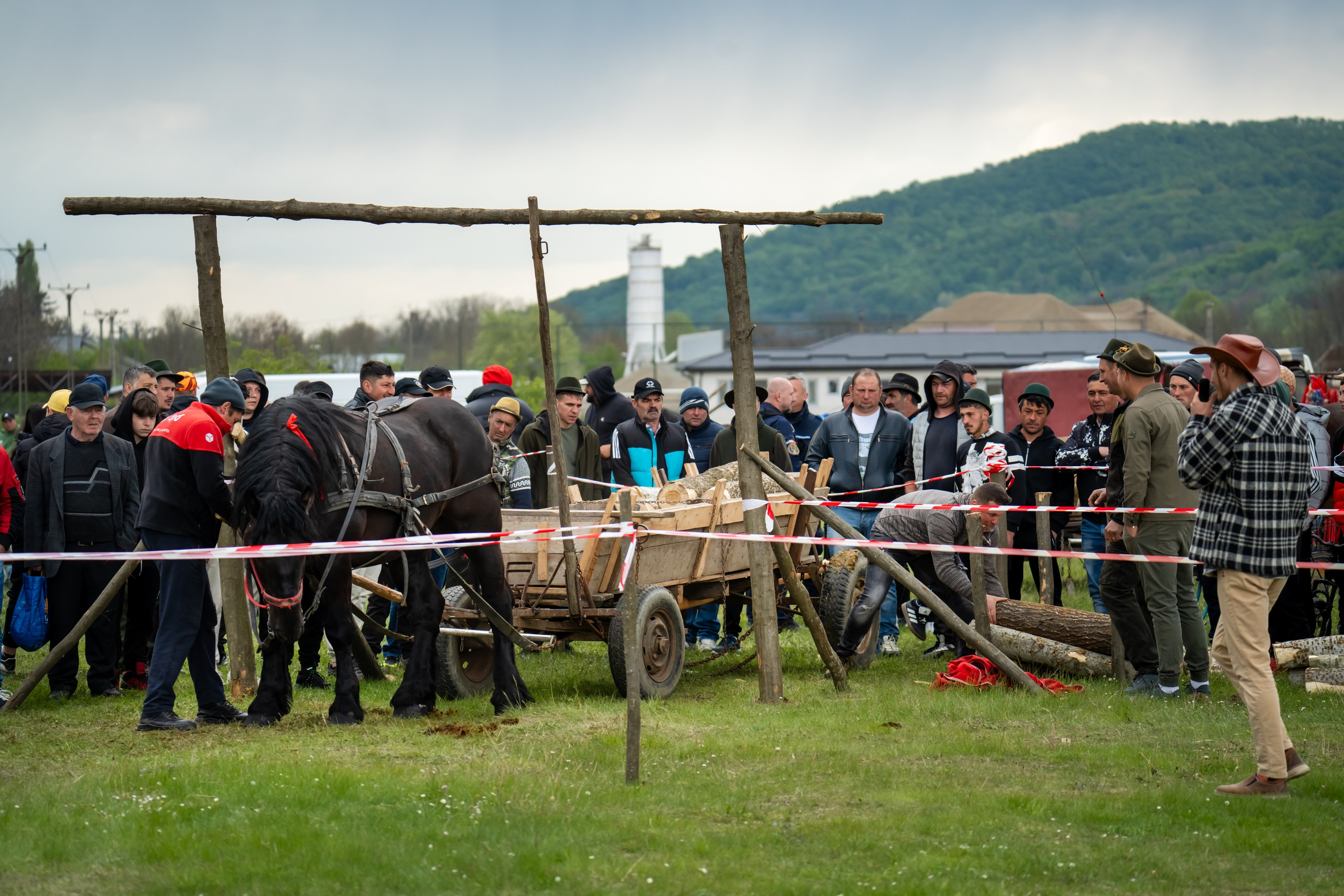 Concurs Ecvestru Vărbilău ediția a 4-a. Mihai Alexandra Events