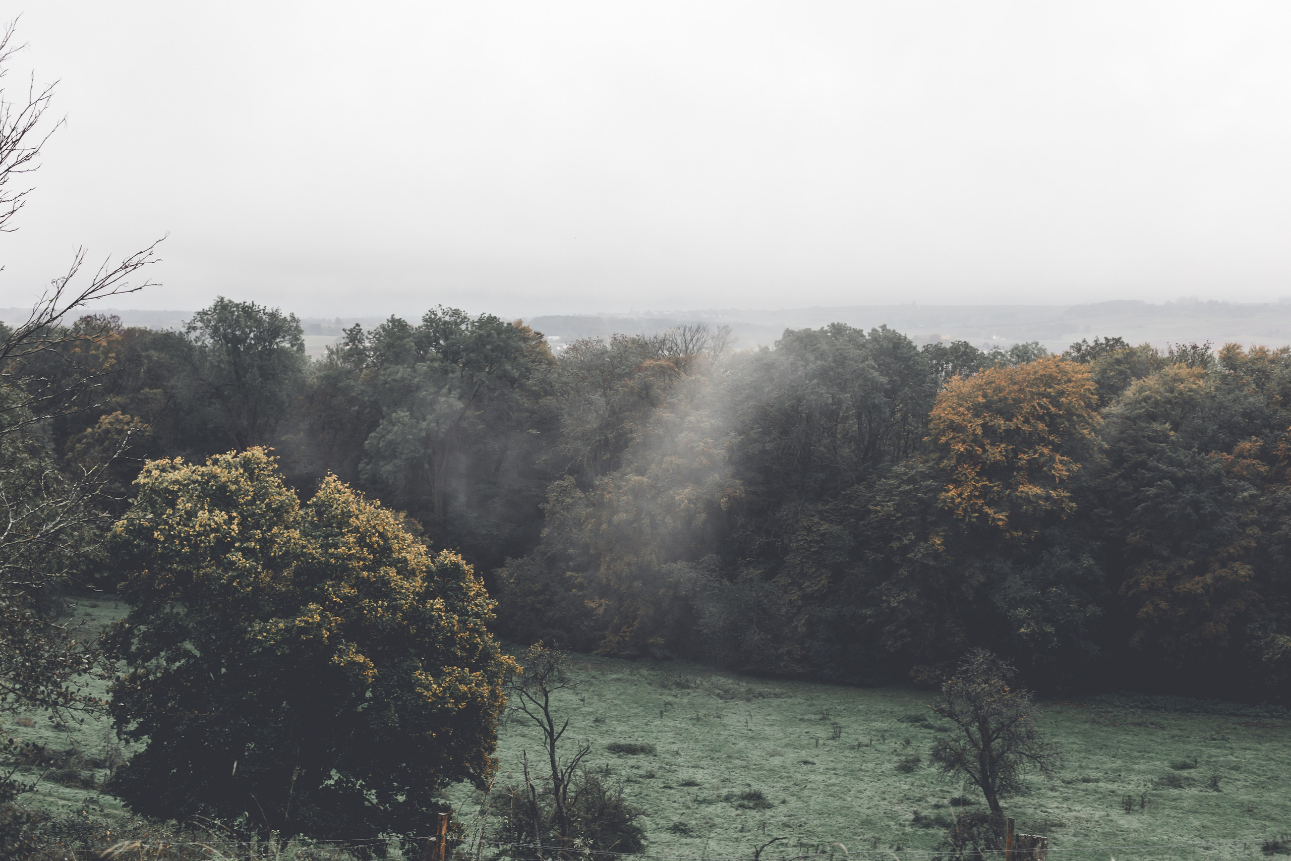 Giessen, Germany Wedding Elegance - Eleganz der Hochzeit in Giessen, Deutschland - Елегантність Весілля в Гіссені, Німеччина, Giessen, Germany's Emotional Wedding Photography - Emotionale Hochzeitsfotografie in Giessen, Deutschland - Емоційна Весільна Фотографія у Гіссені, Німеччина