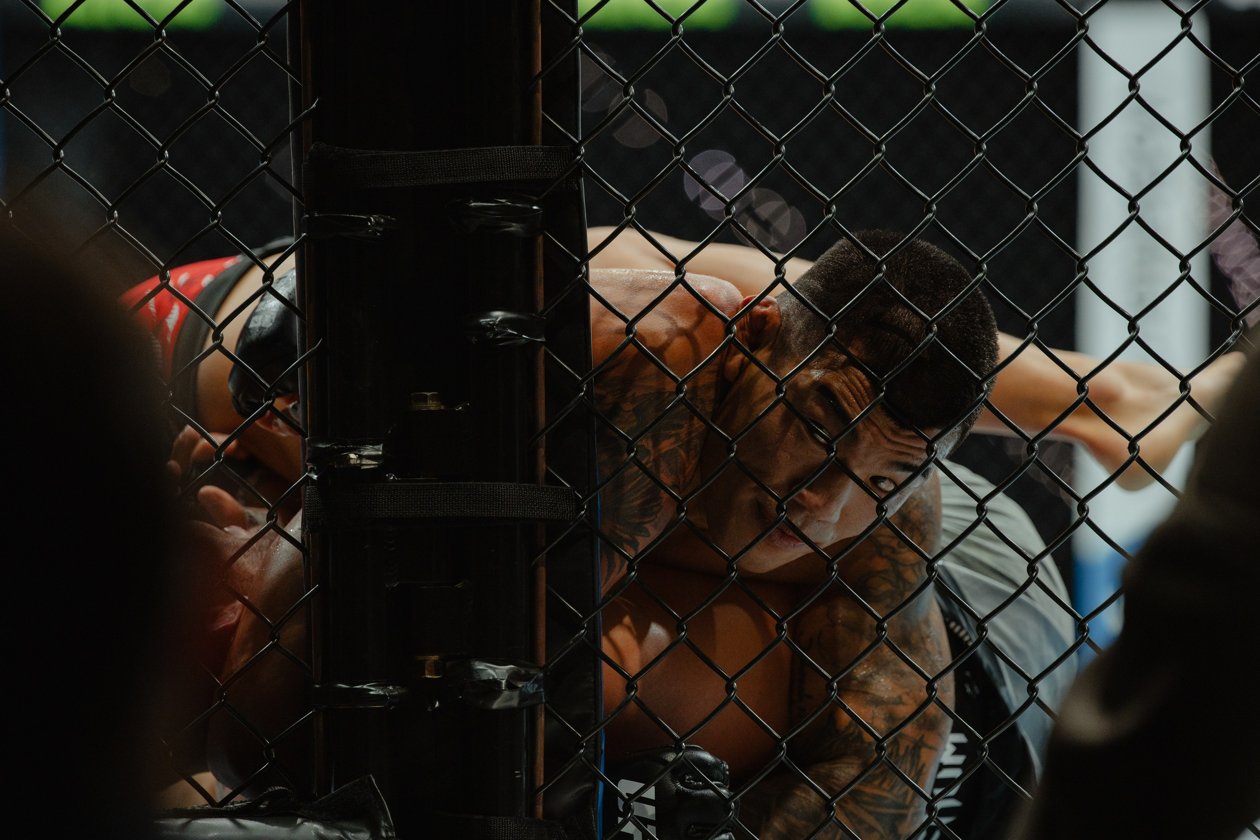 UFC. Commercial and Event photographer Eltaj
