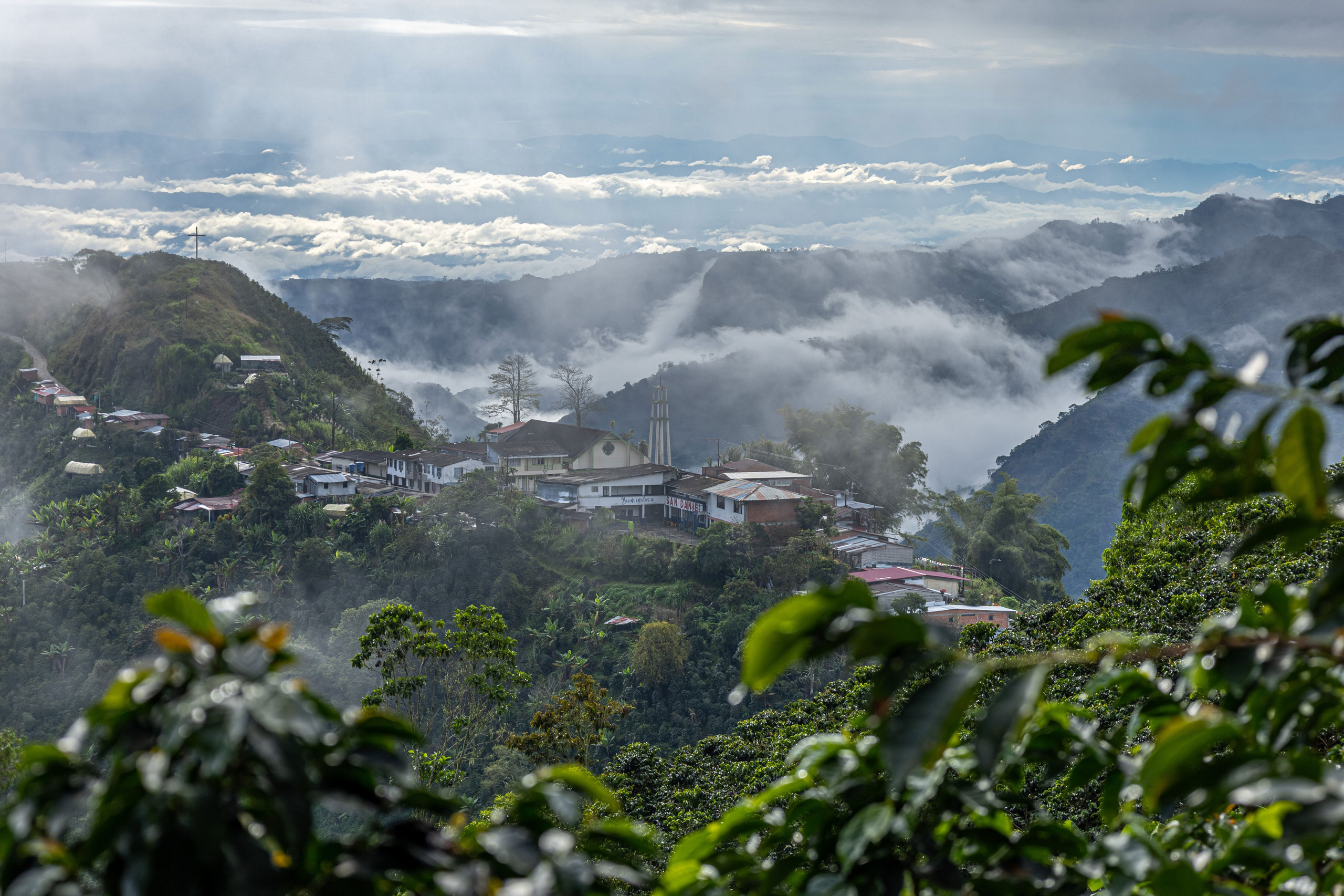 pueblo hermoso con sol dela mañana y plantas de café