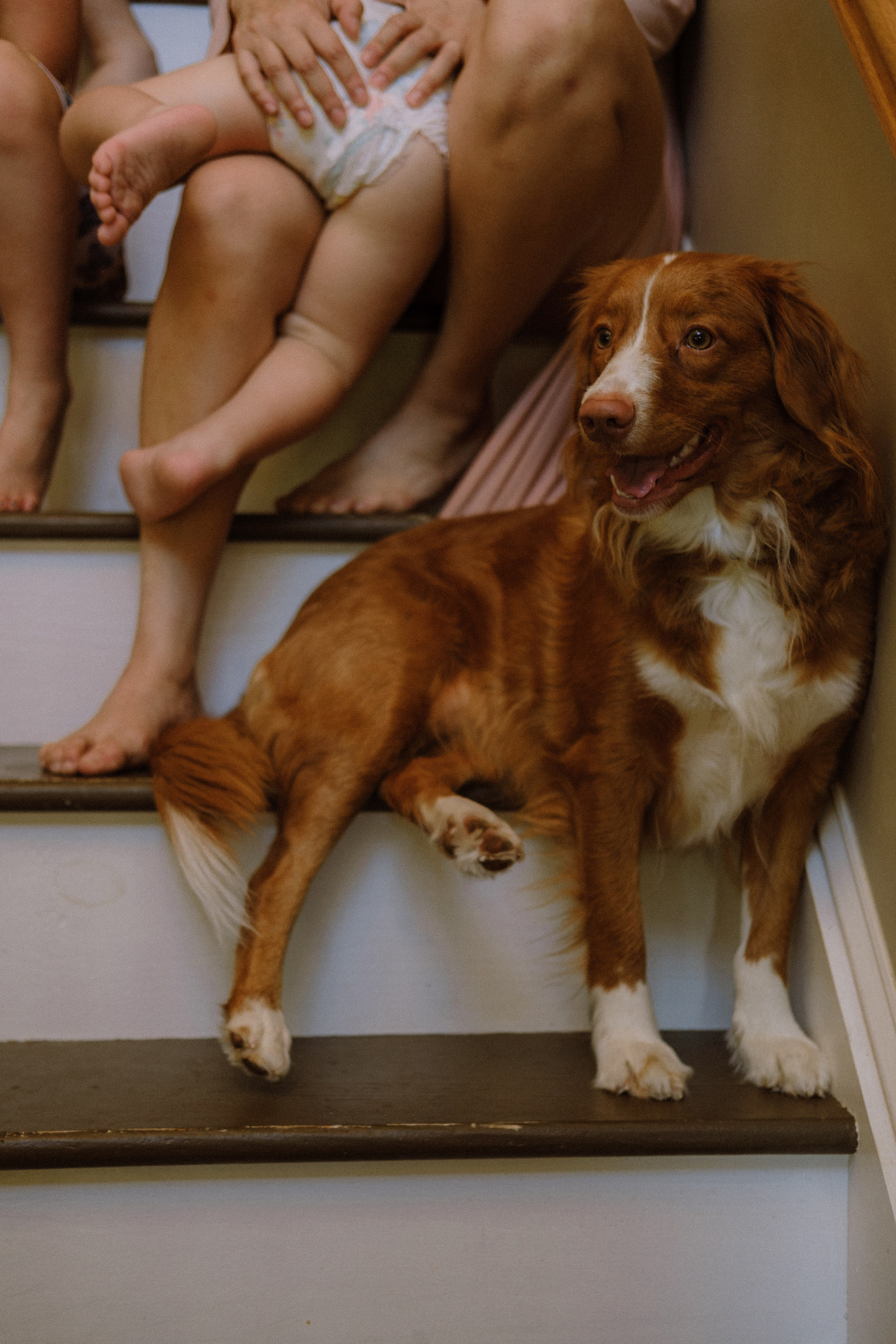 Birth, Parenthood, and the Power of Being Seen. Family Photographer Anna Dobrovolskaia | Richmond, VA