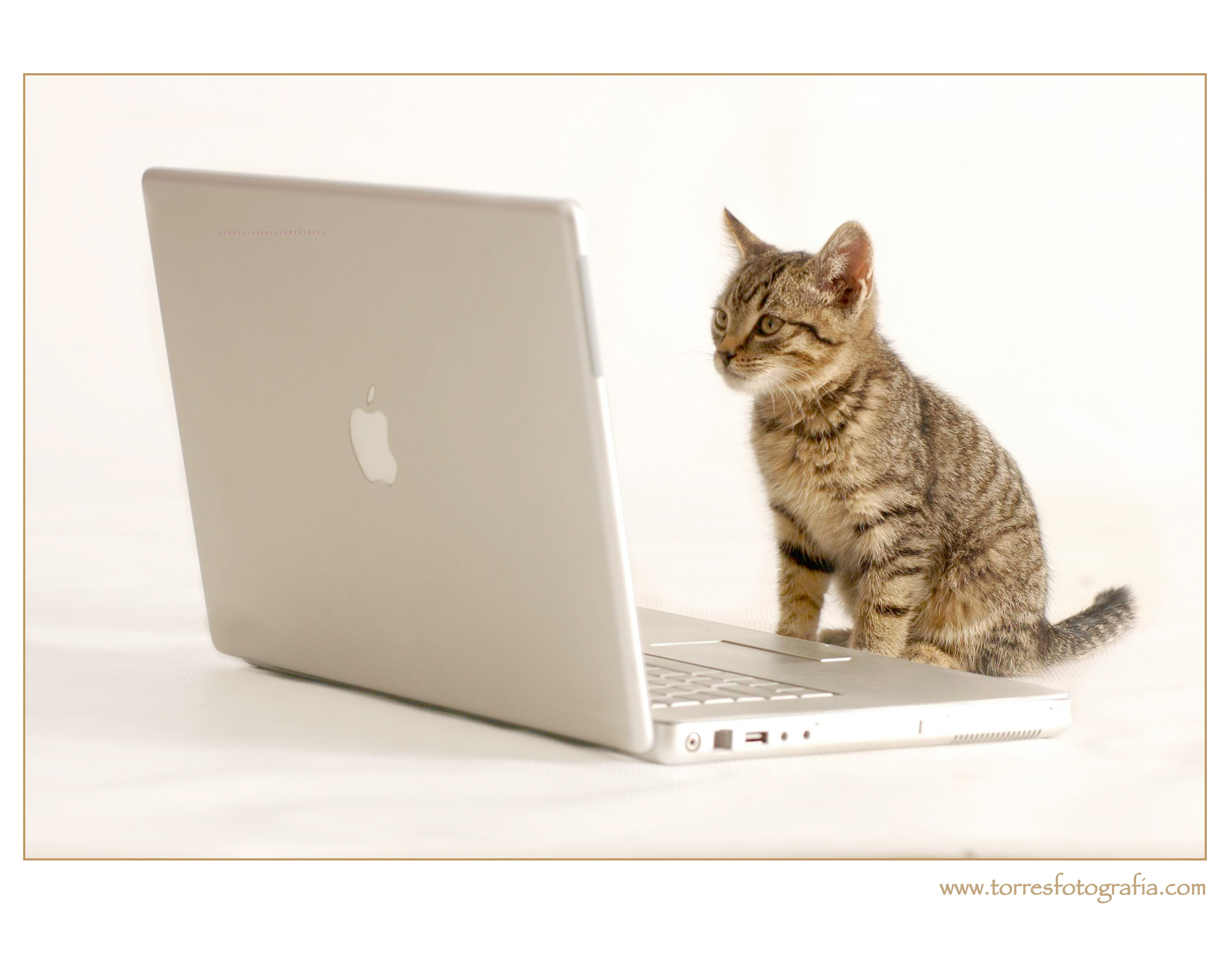 Family, kids & Pets. Estudio de fotografia en Tijuana