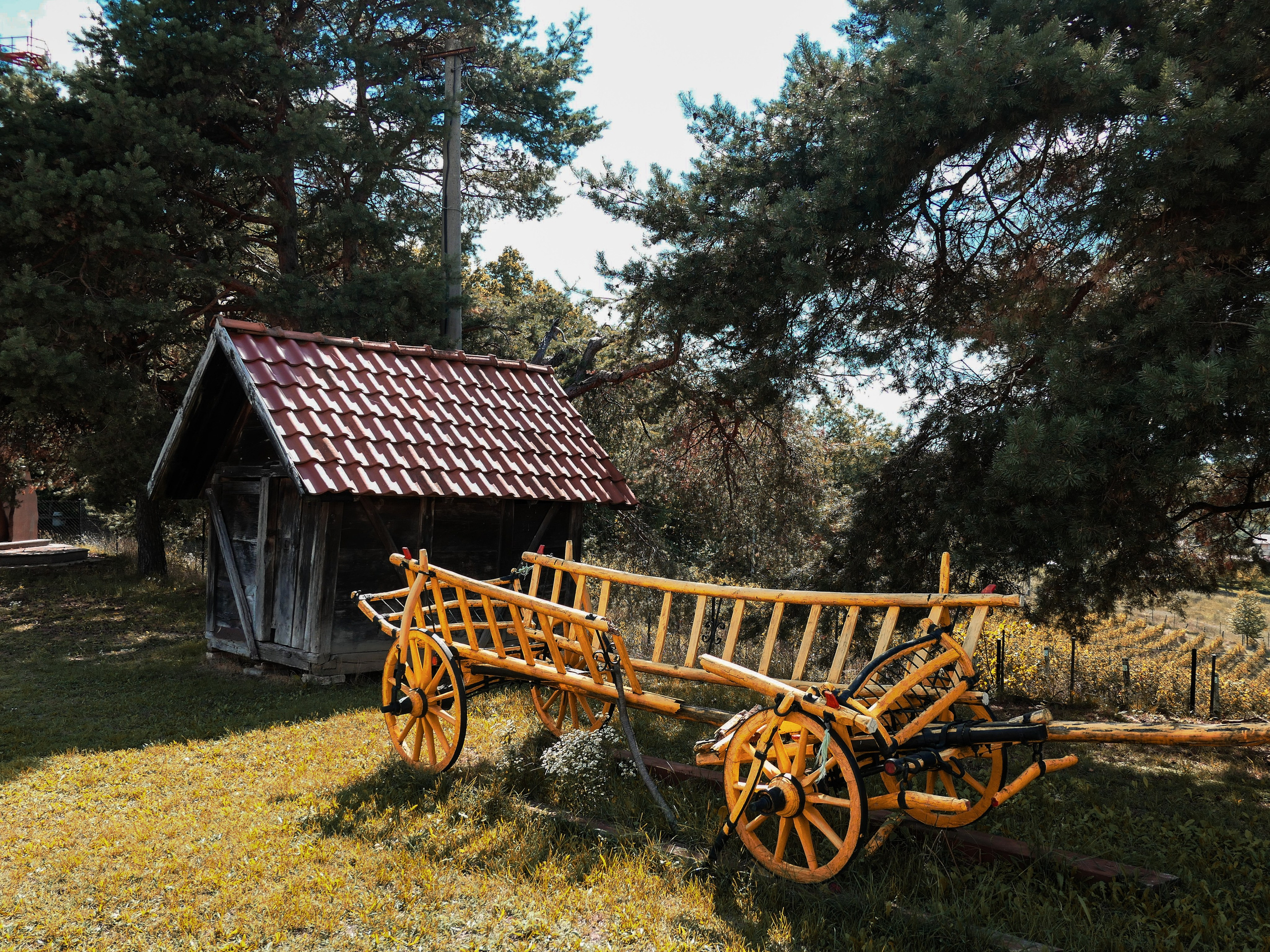 Portfolio. Photographer in Sotenäs municipality. Fotograf i Sotenäs kommun
