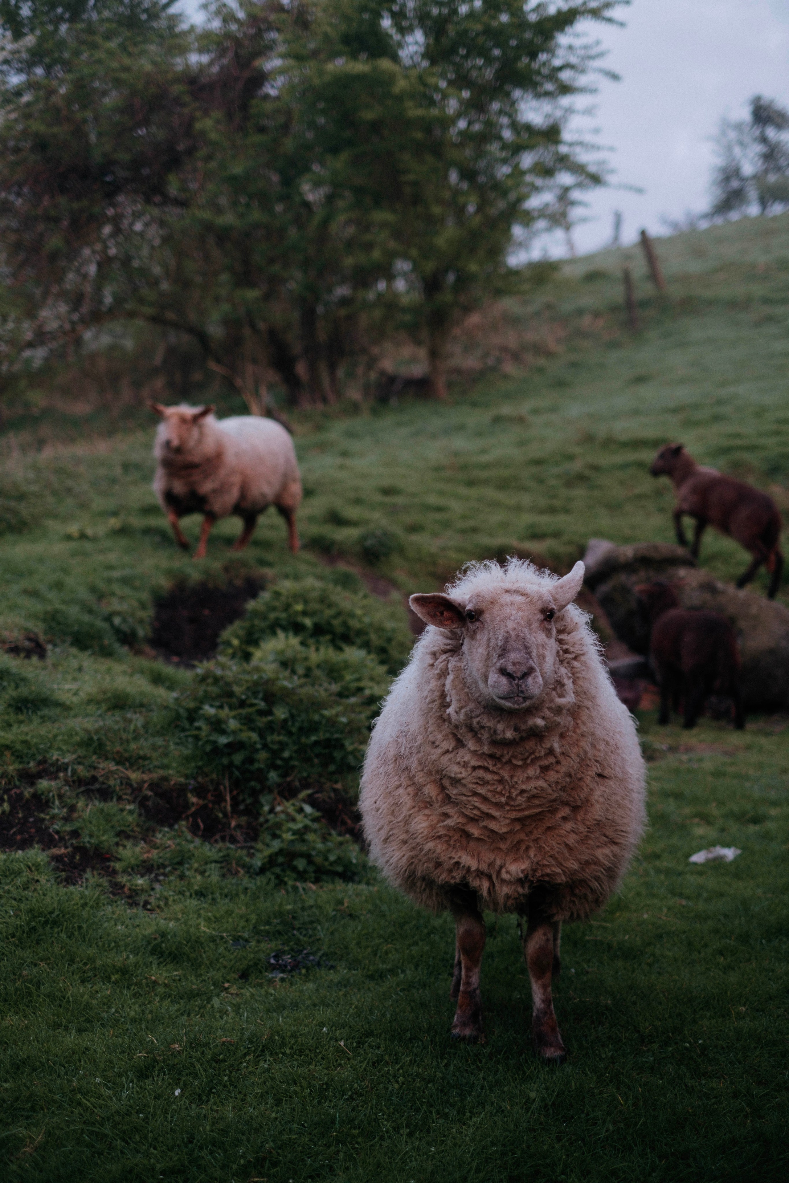 One year in a 500 years old house. Authentische Familienfotografie in Köln