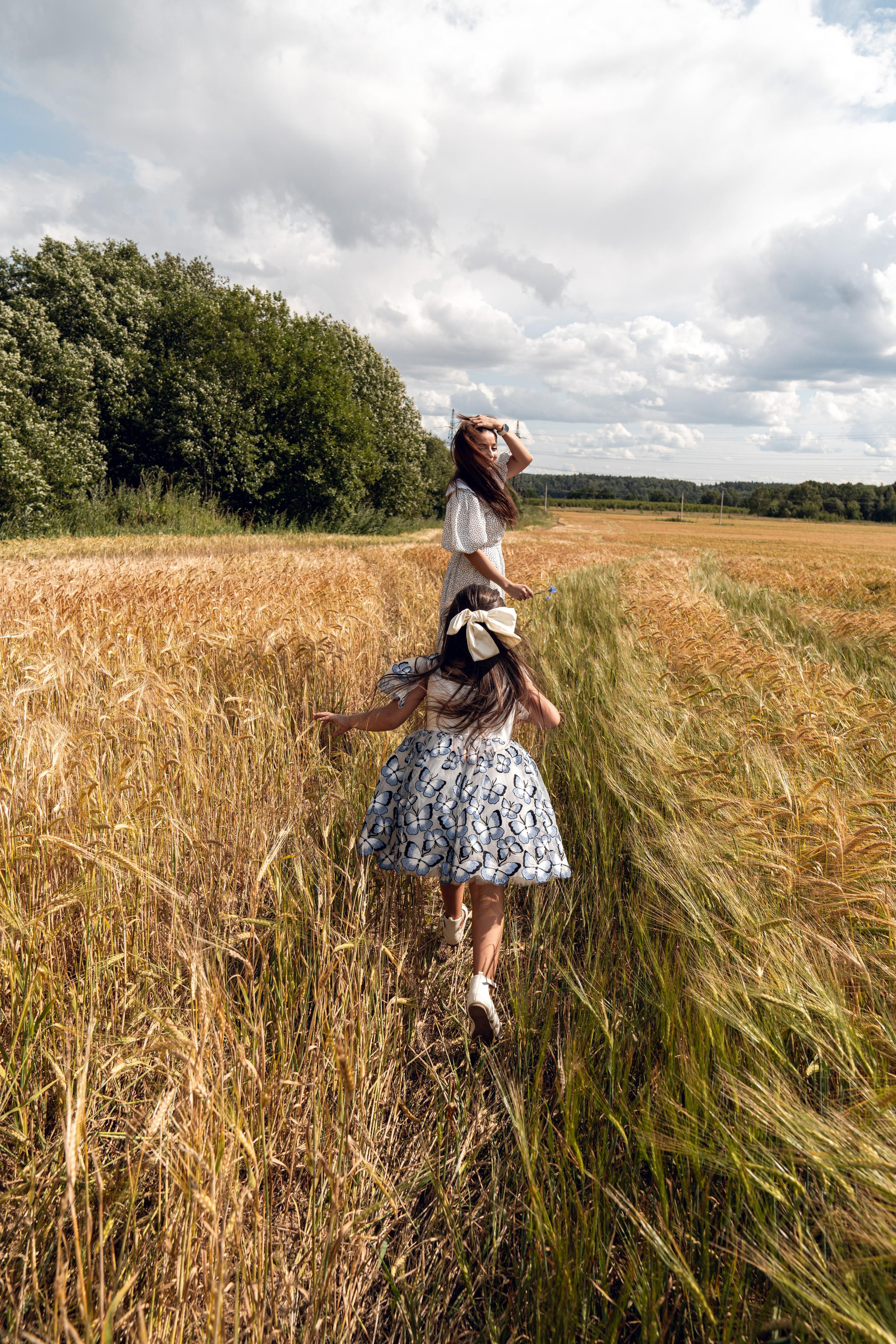 Золотое поле. ...........