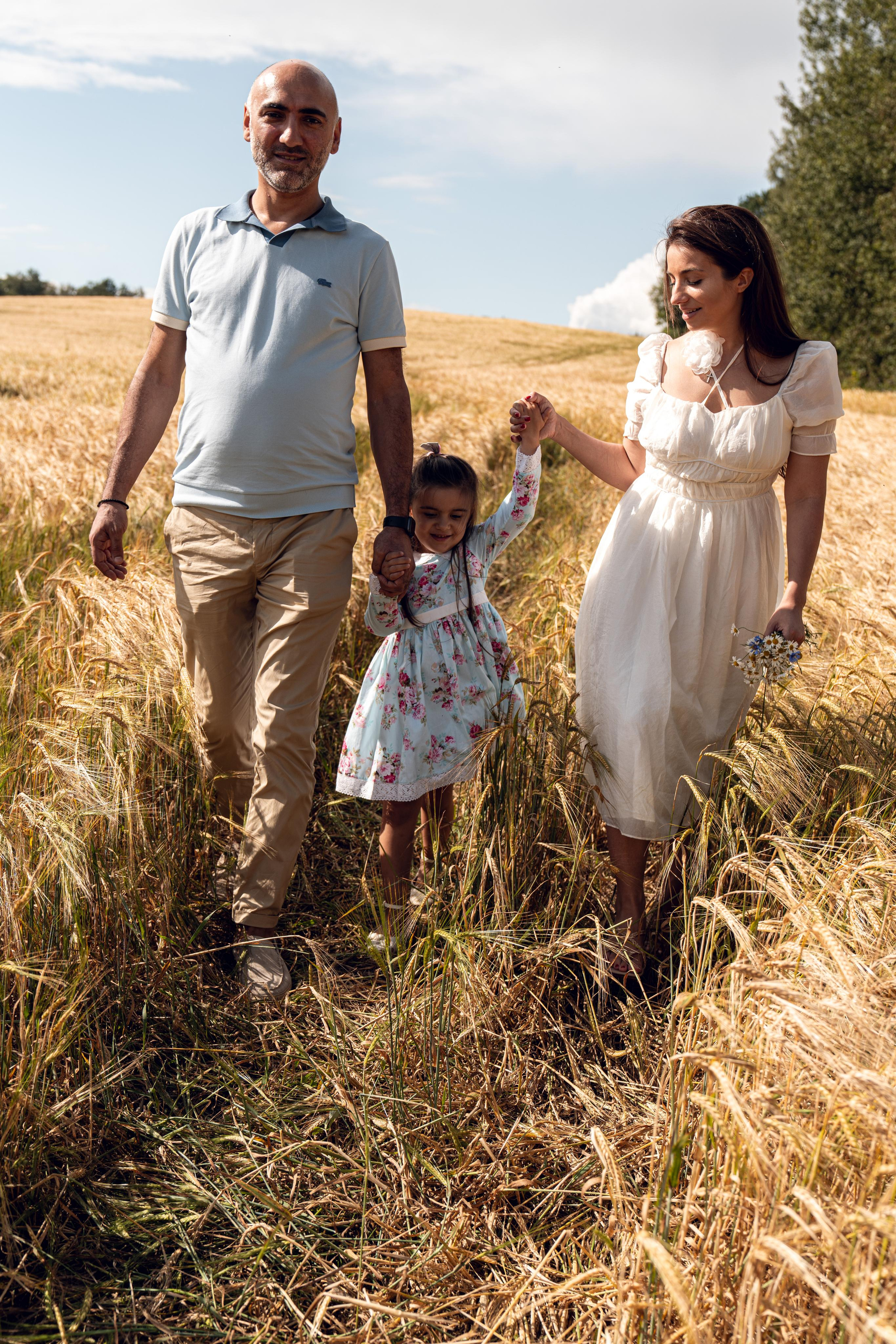 Золотое поле. ...........