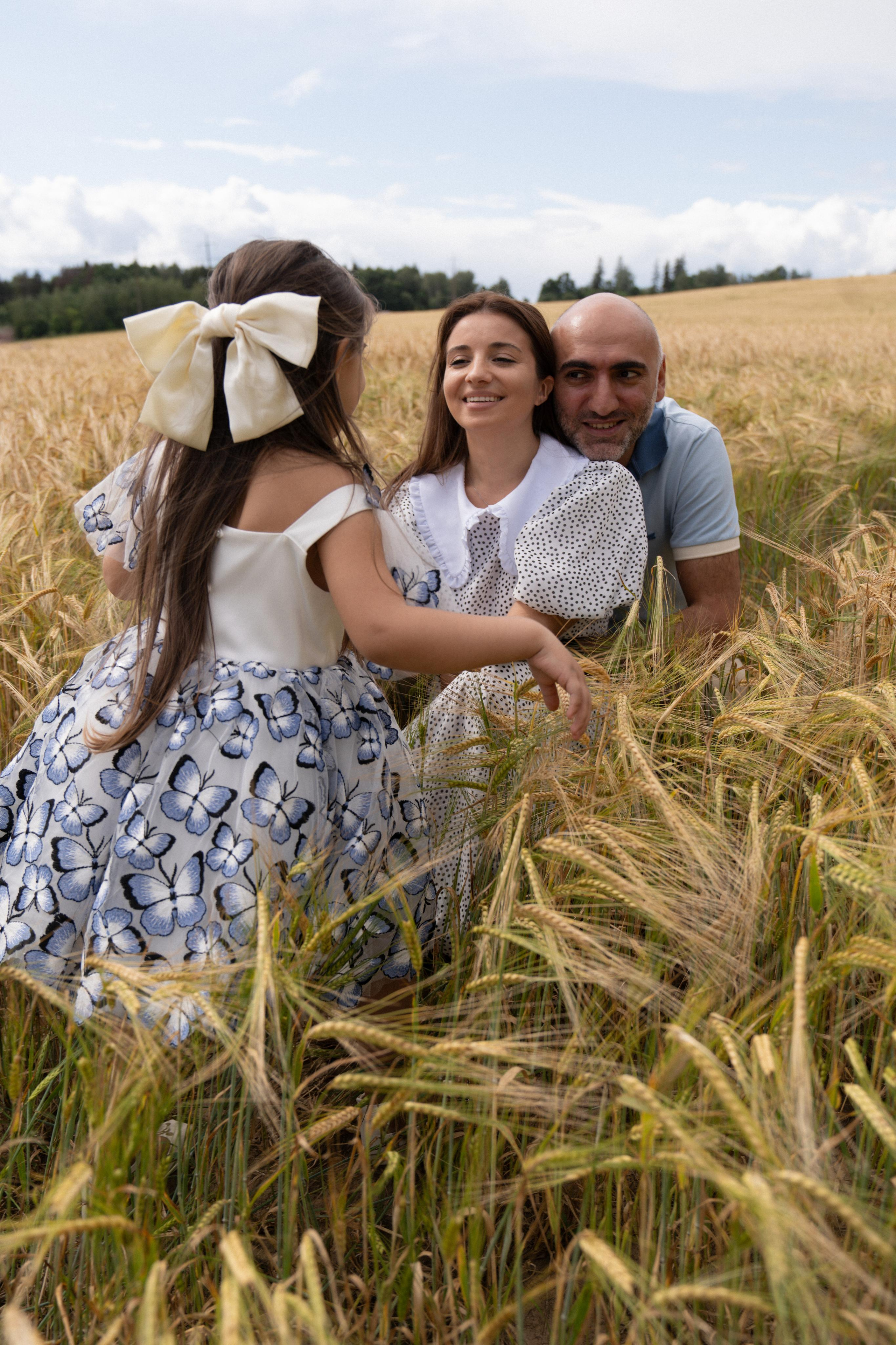 Золотое поле. ...........