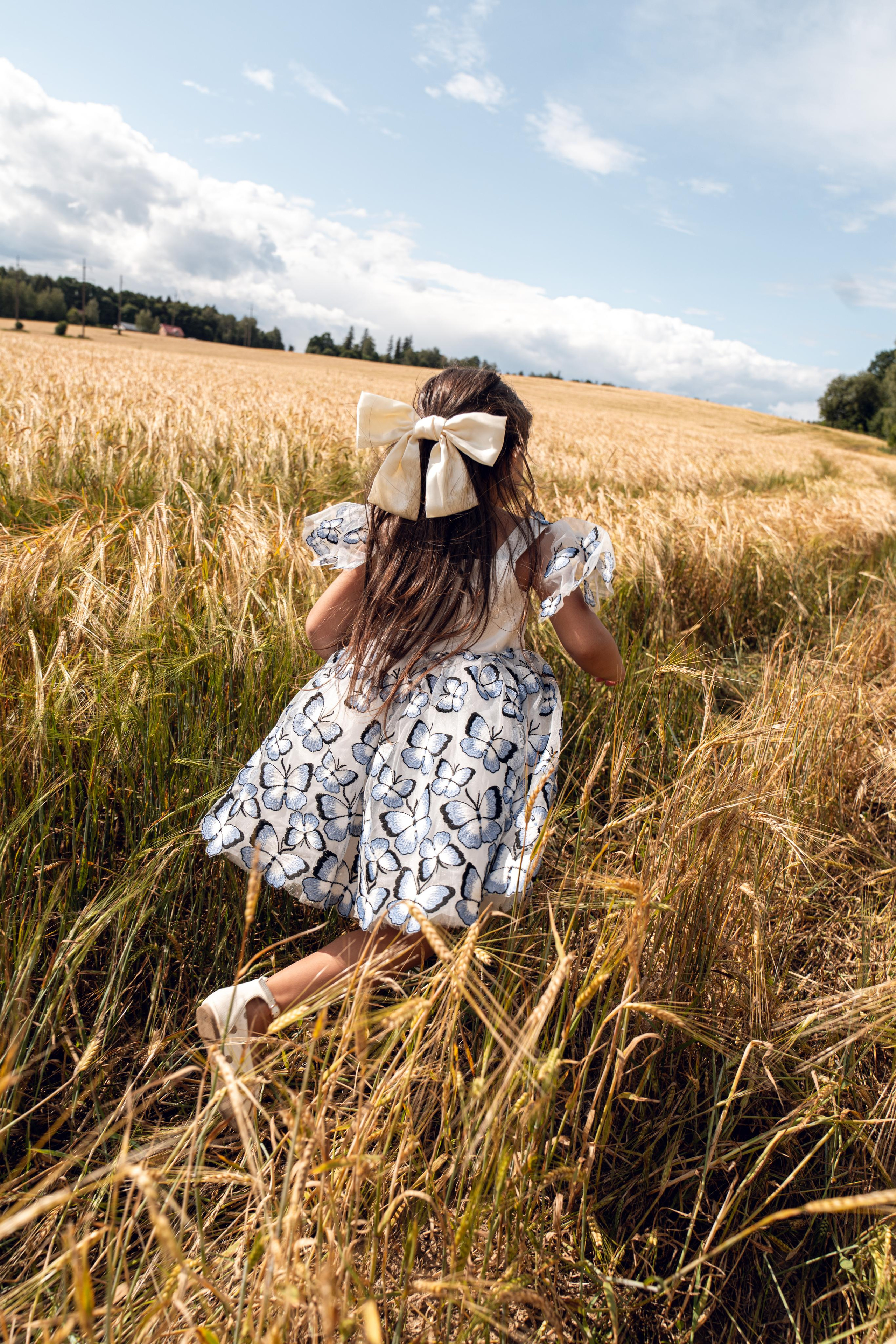 Золотое поле. ...........