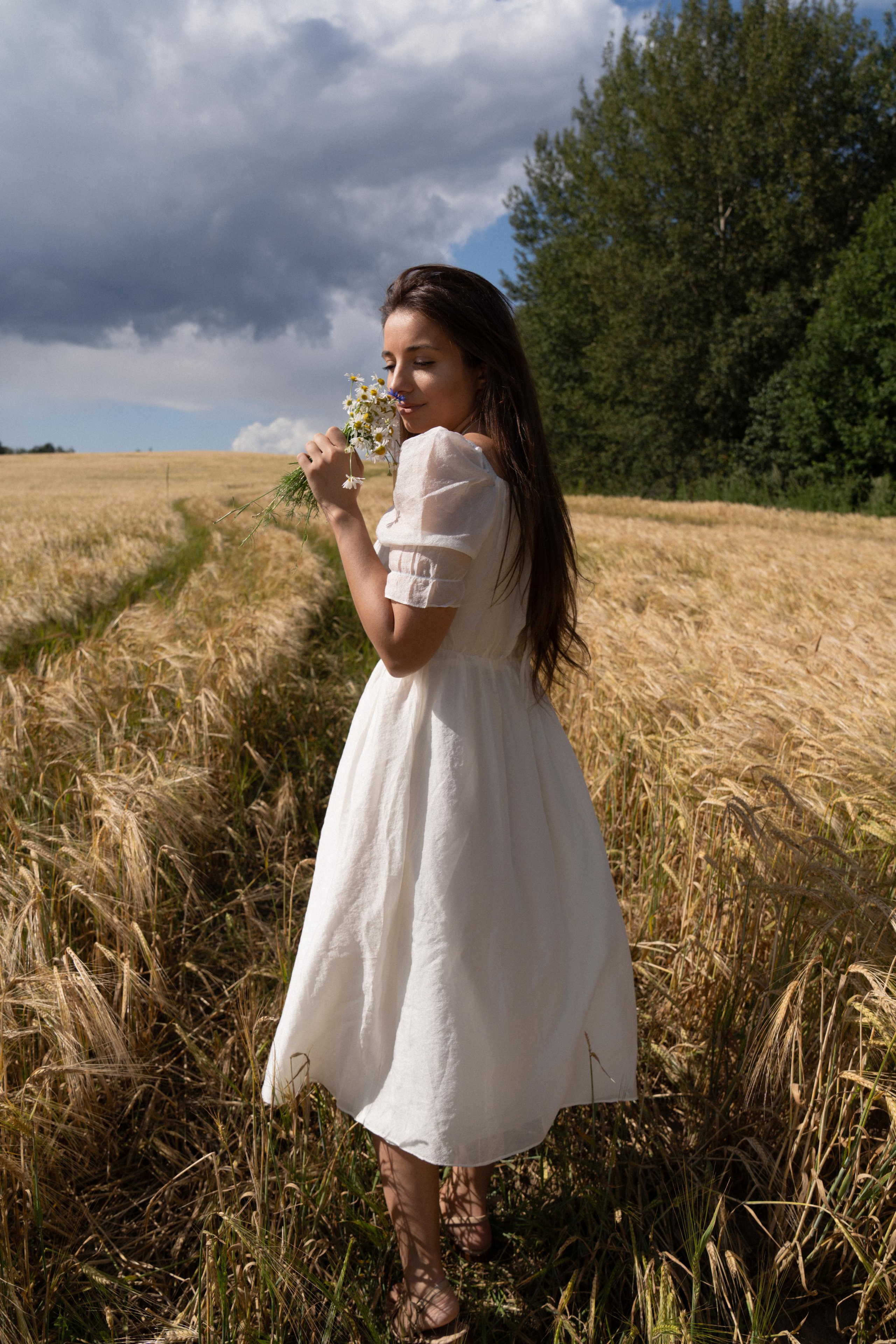 Золотое поле. ...........