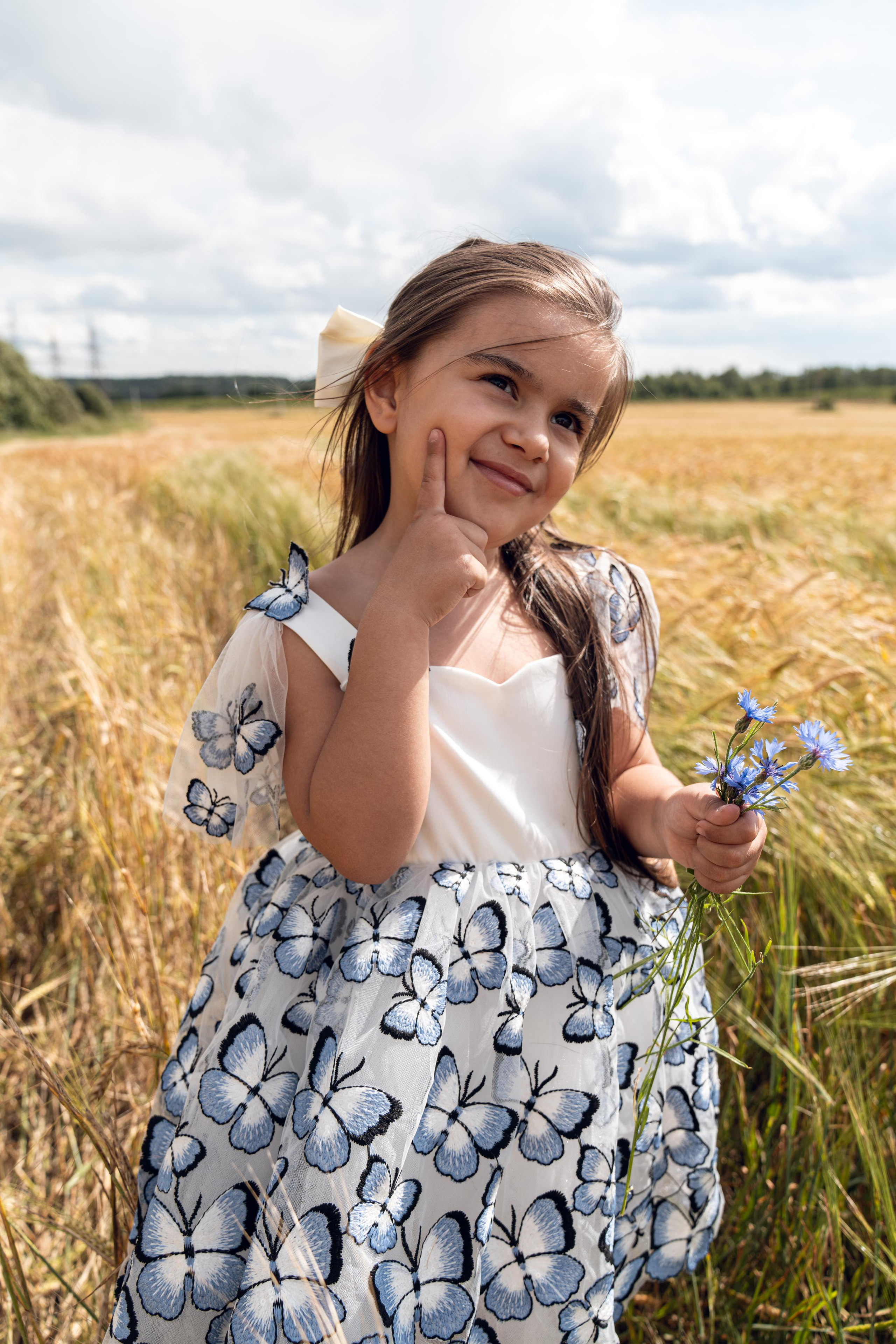 Золотое поле. ...........