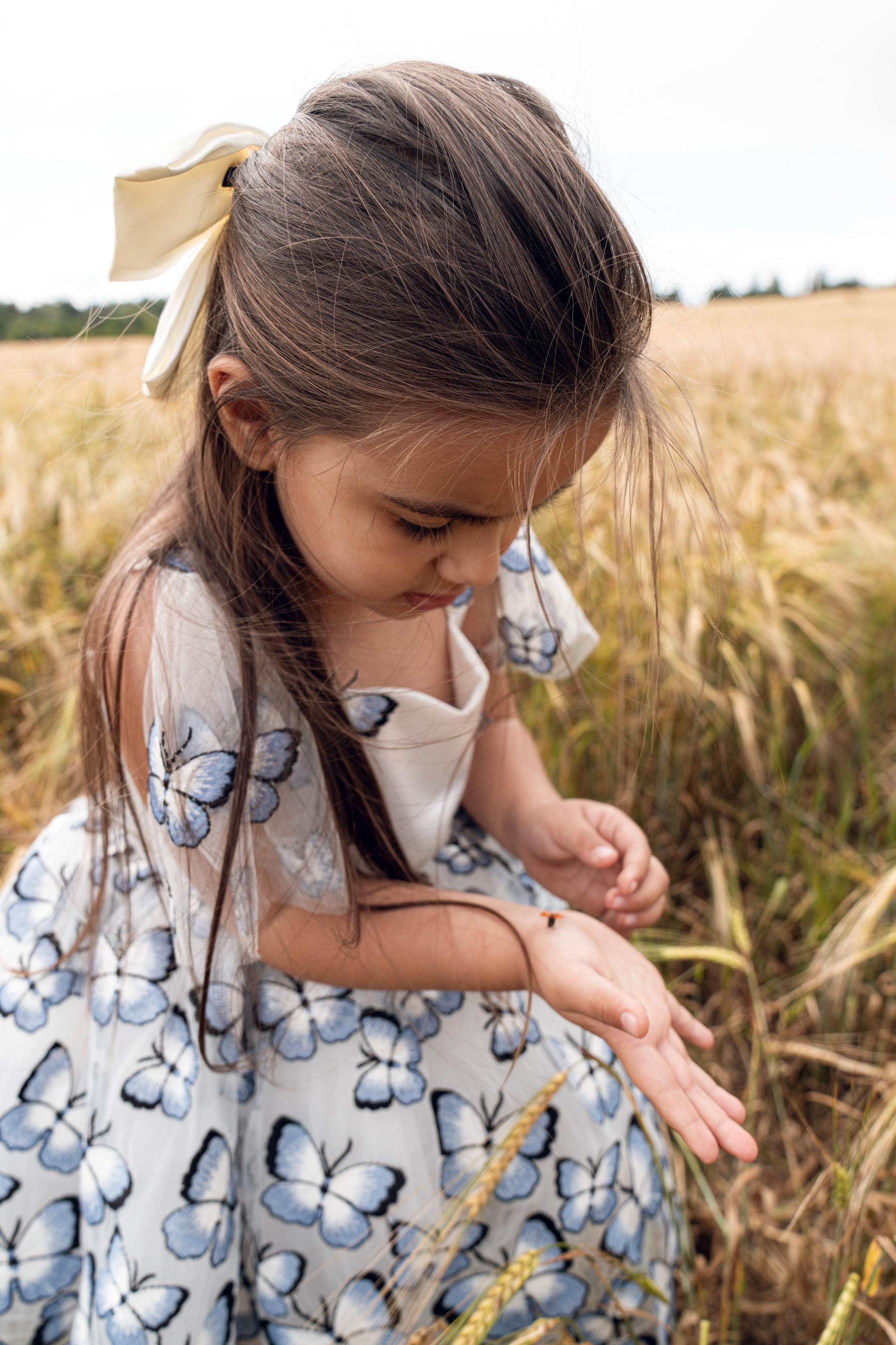 Золотое поле. ...........