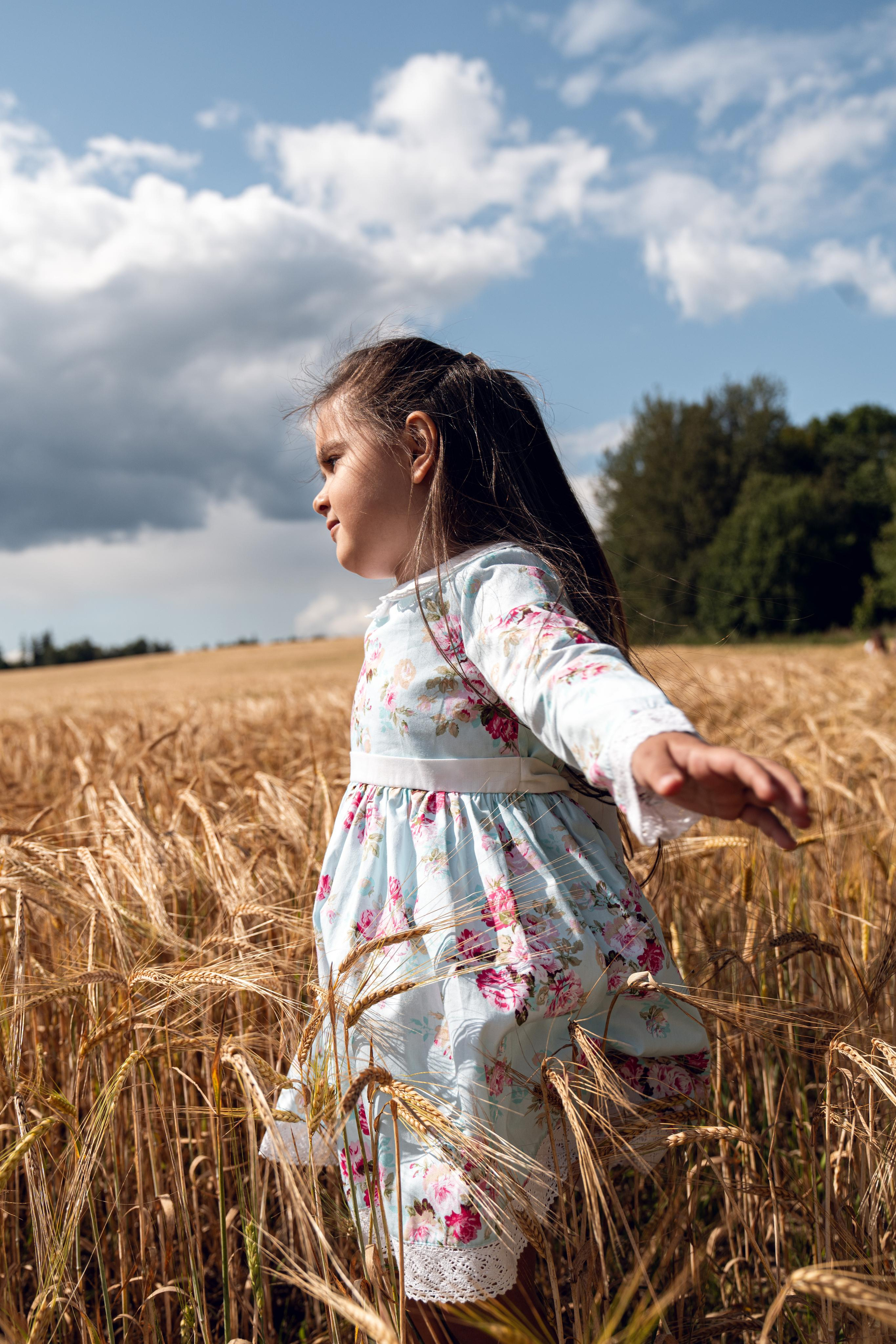 Золотое поле. ...........