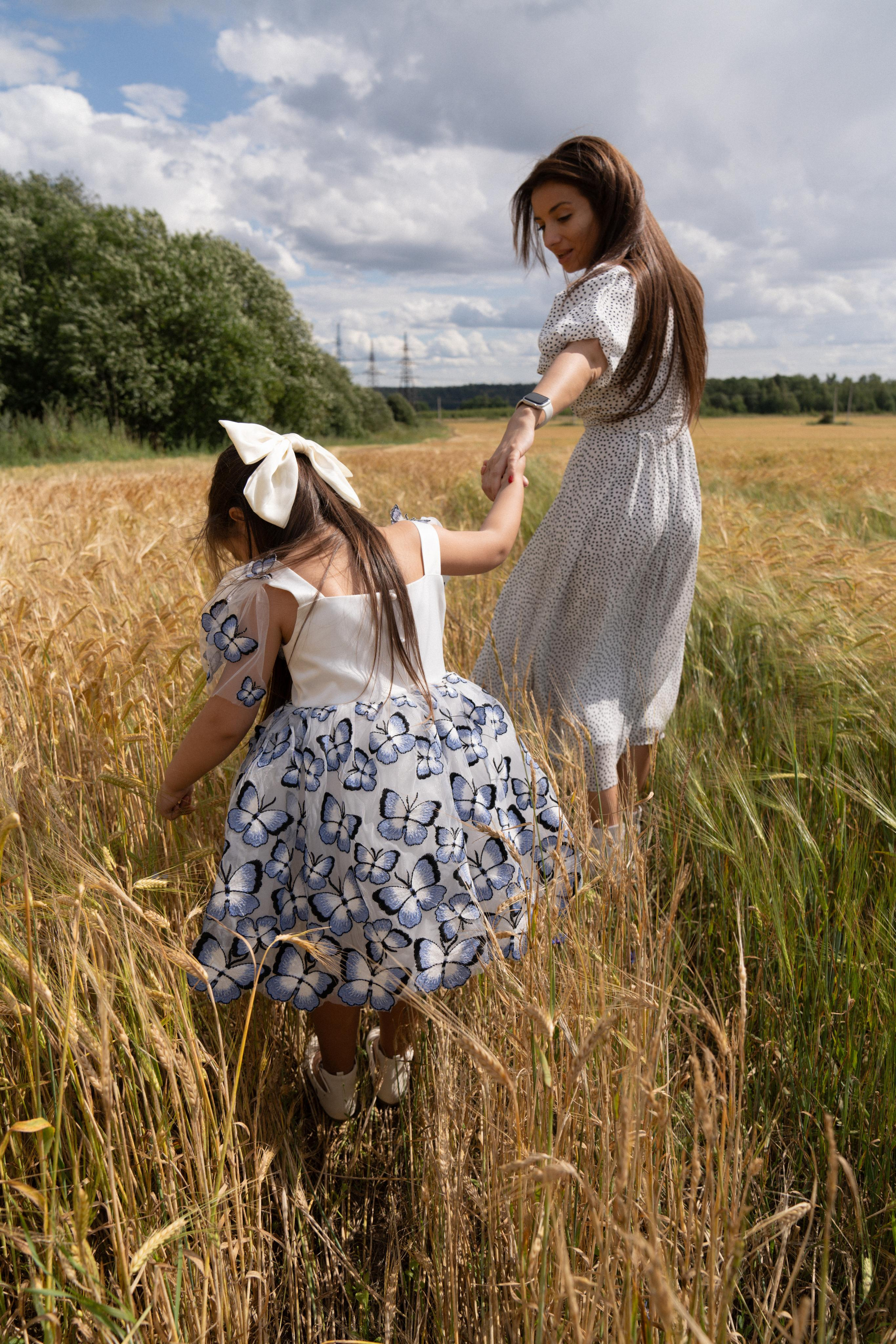 Золотое поле. ...........