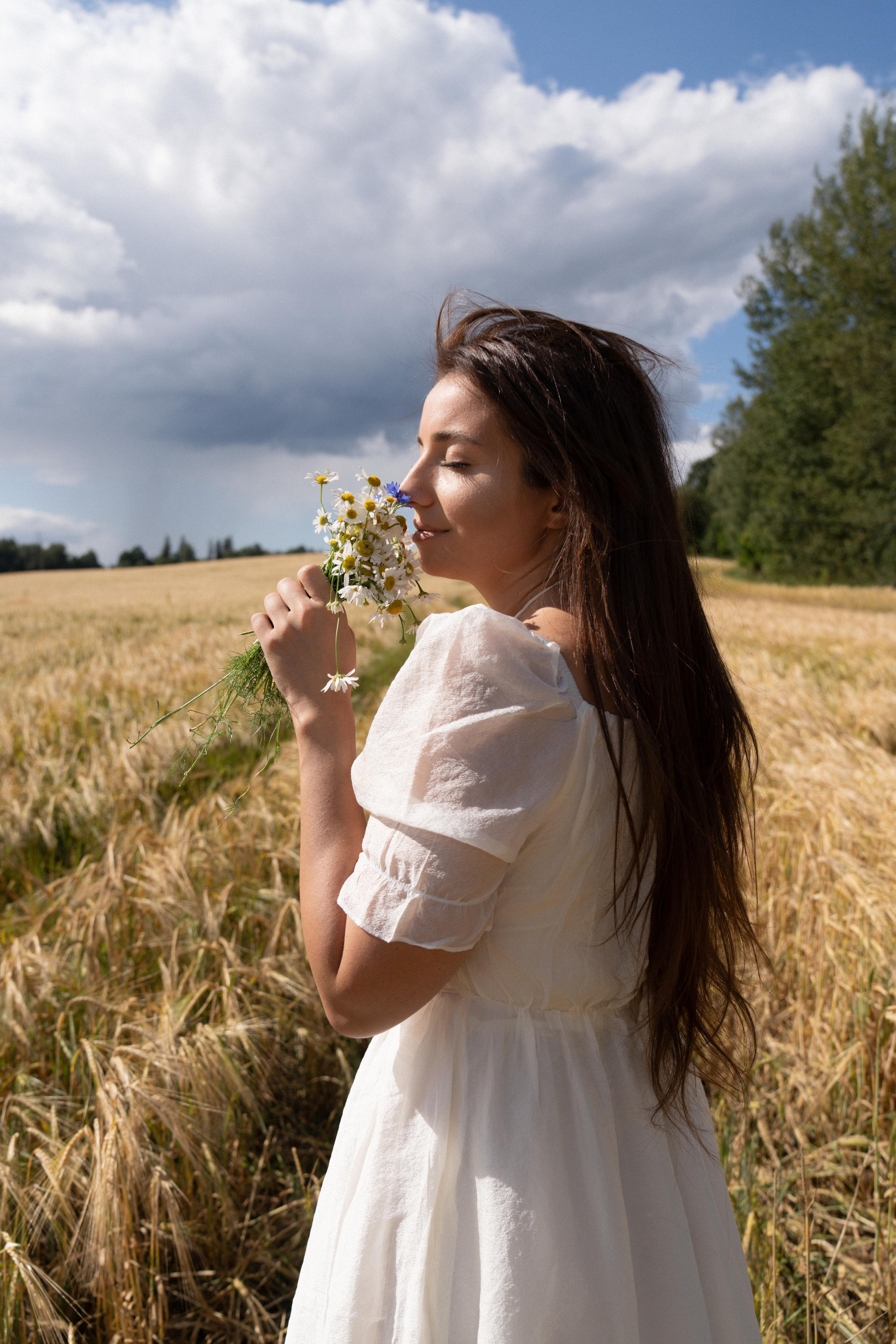 Золотое поле. ...........