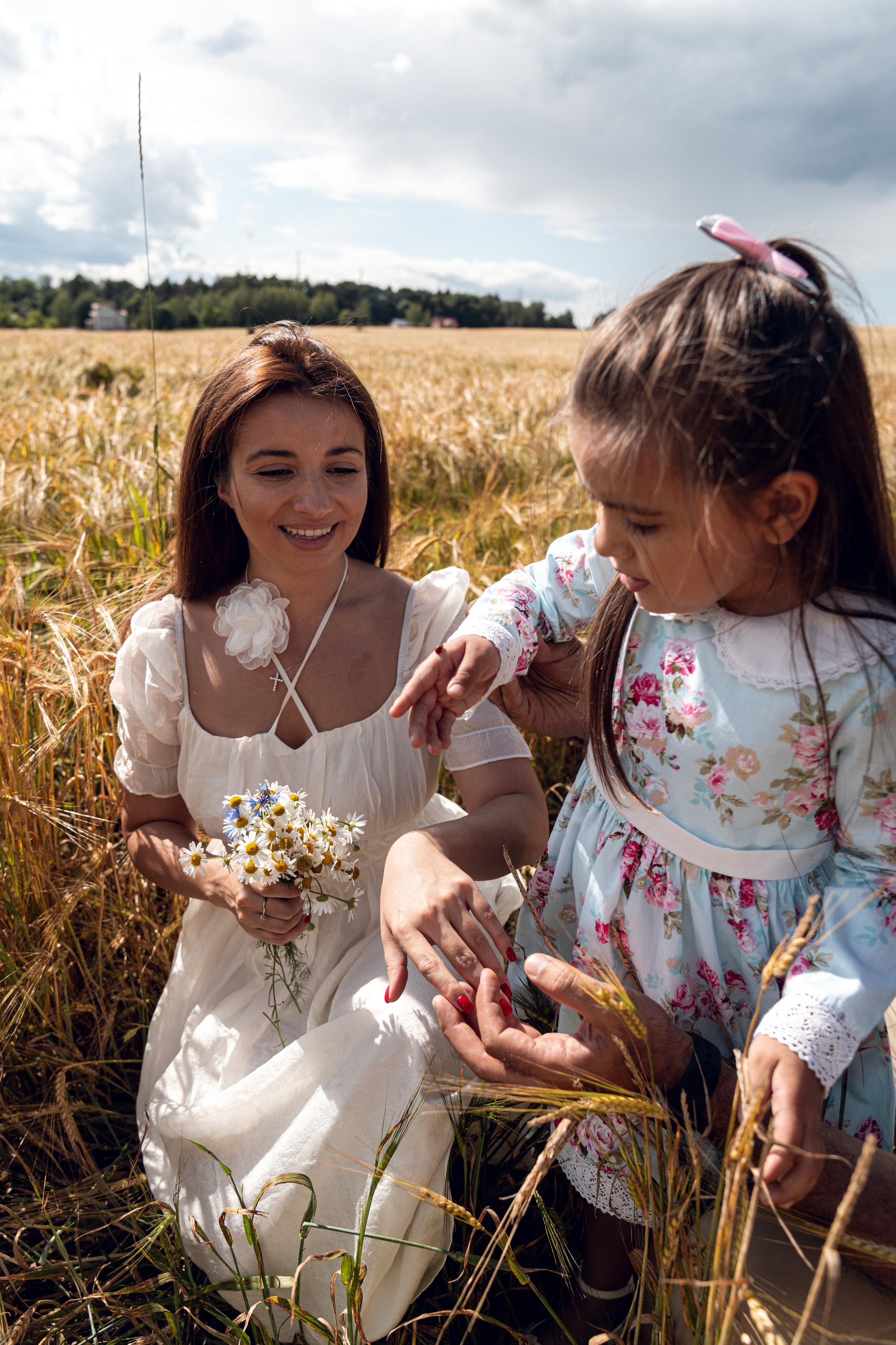 Золотое поле. ...........