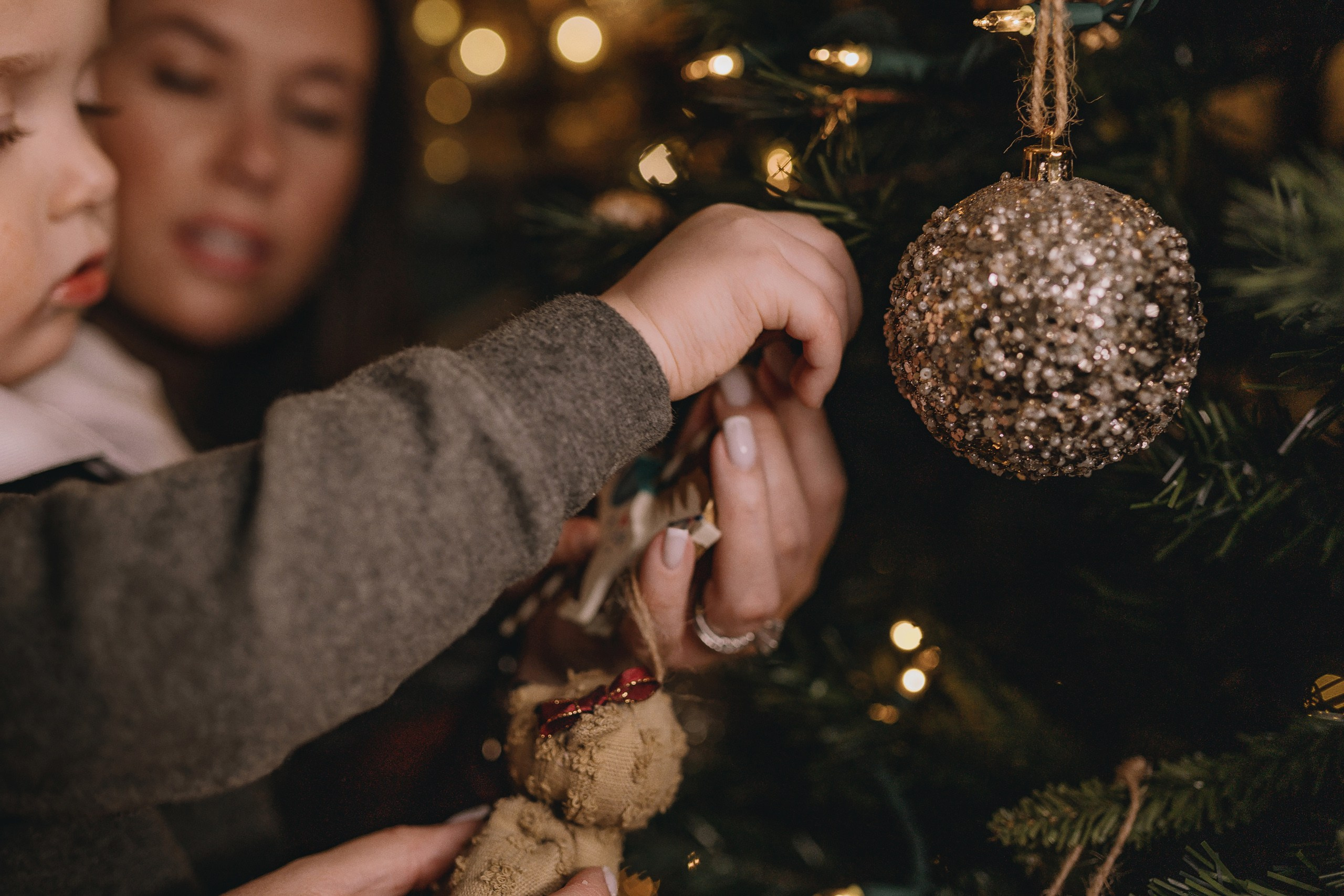 11.16.2025 Christmas Photoshoot. Wedding family event photographer in Chicago Nick Yushevich