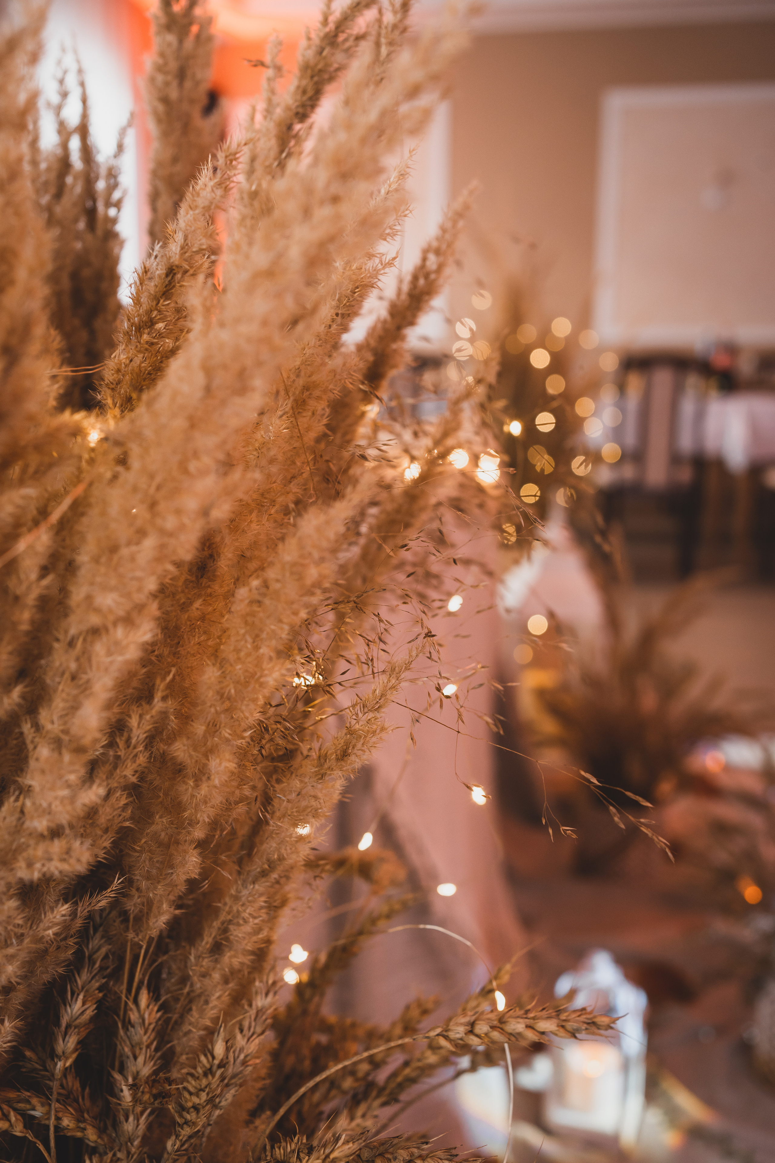 E&N. Montenegro photographer and videographer