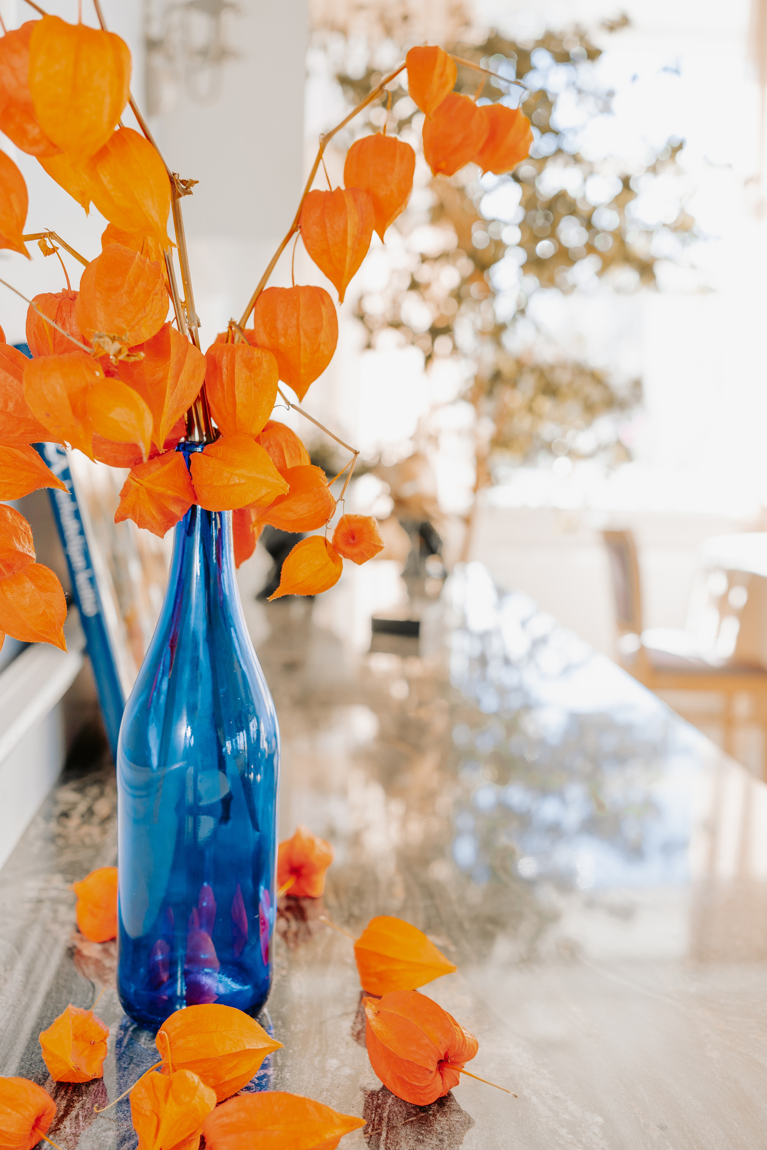 MEISTARKLASE ITĀĻU RESTORĀNĀ. Montenegro photographer and videographer