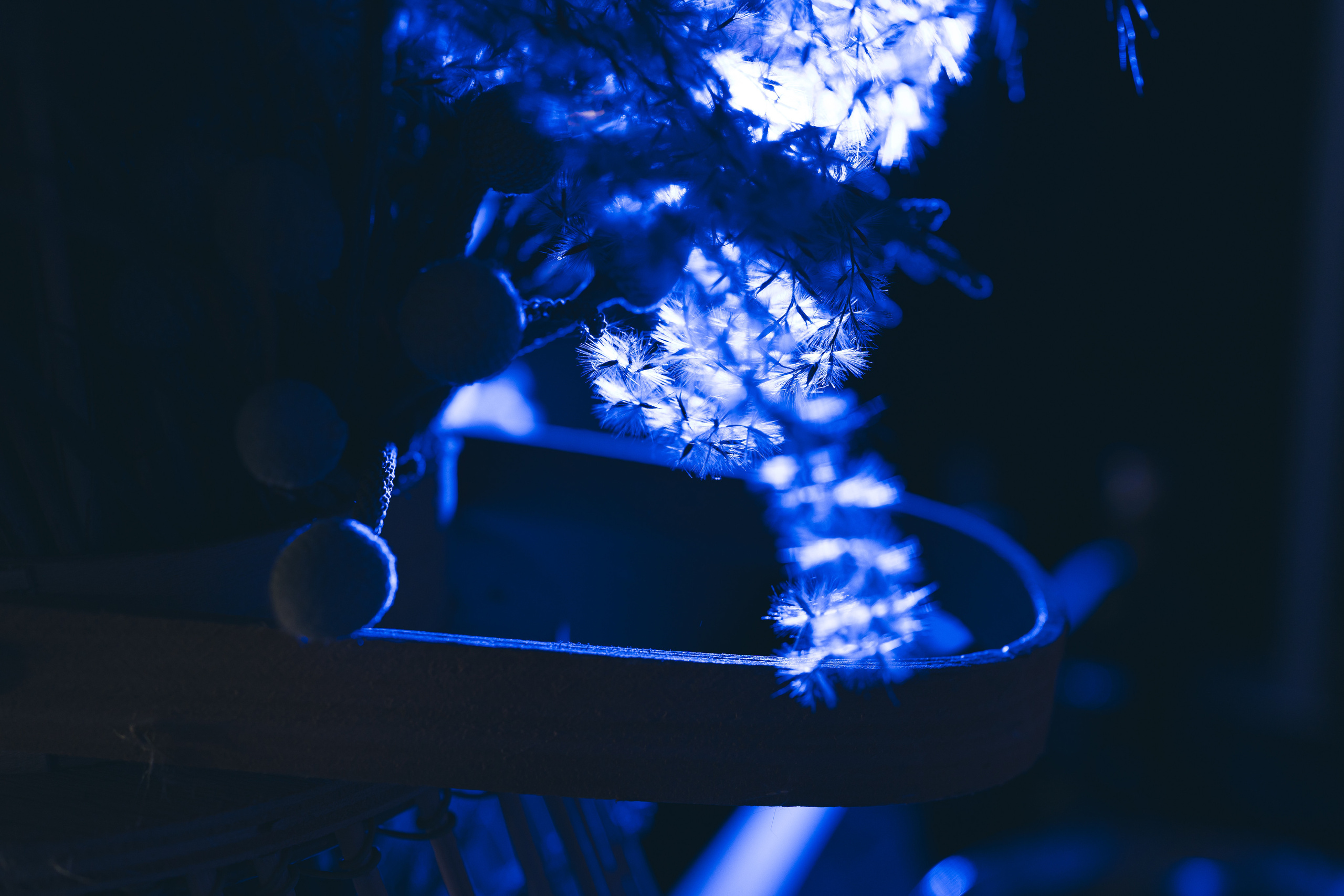 HALLOWEEN IN SILENE. Montenegro photographer and videographer