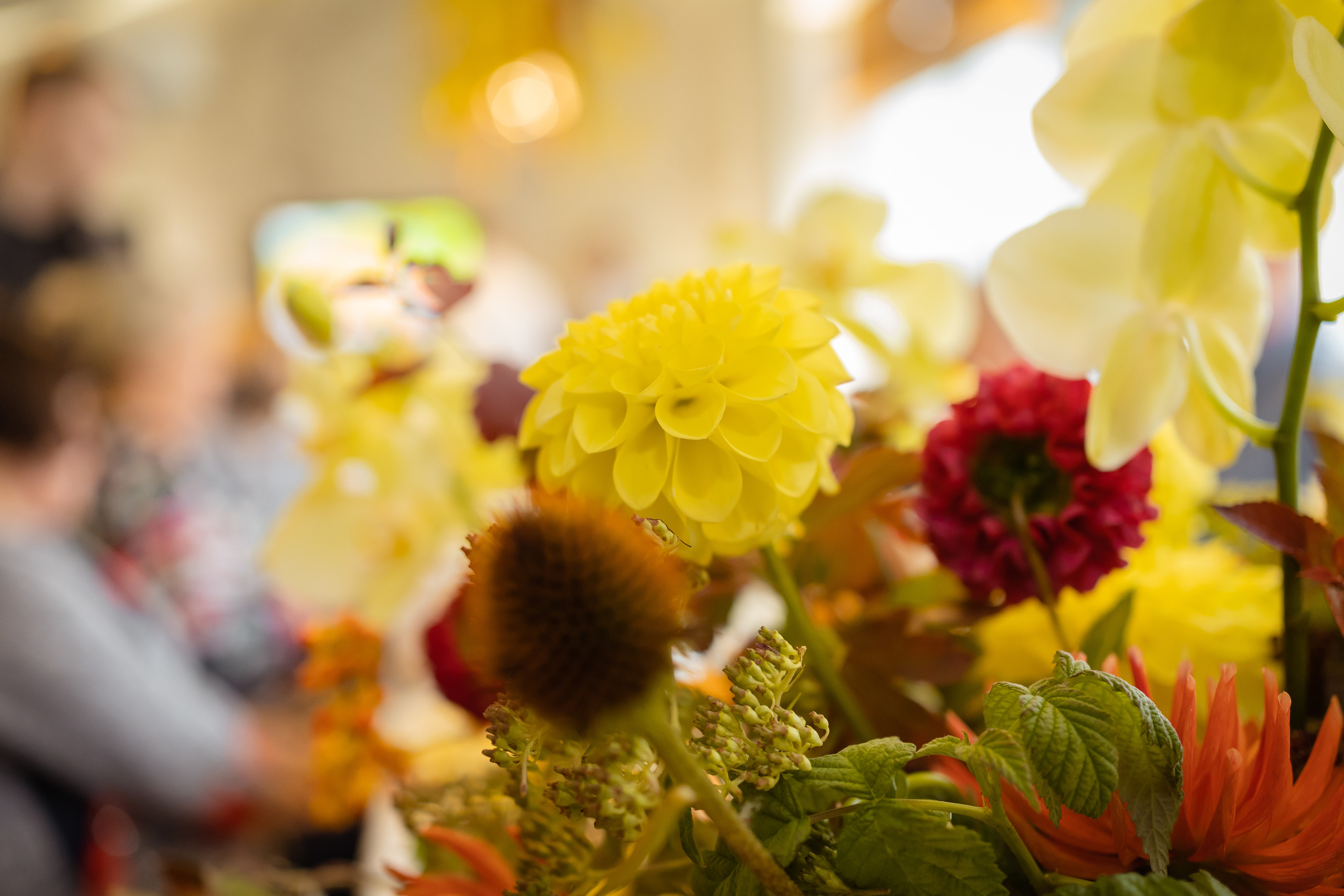 BIRTHDAY IN VĒSMA. Montenegro photographer and videographer