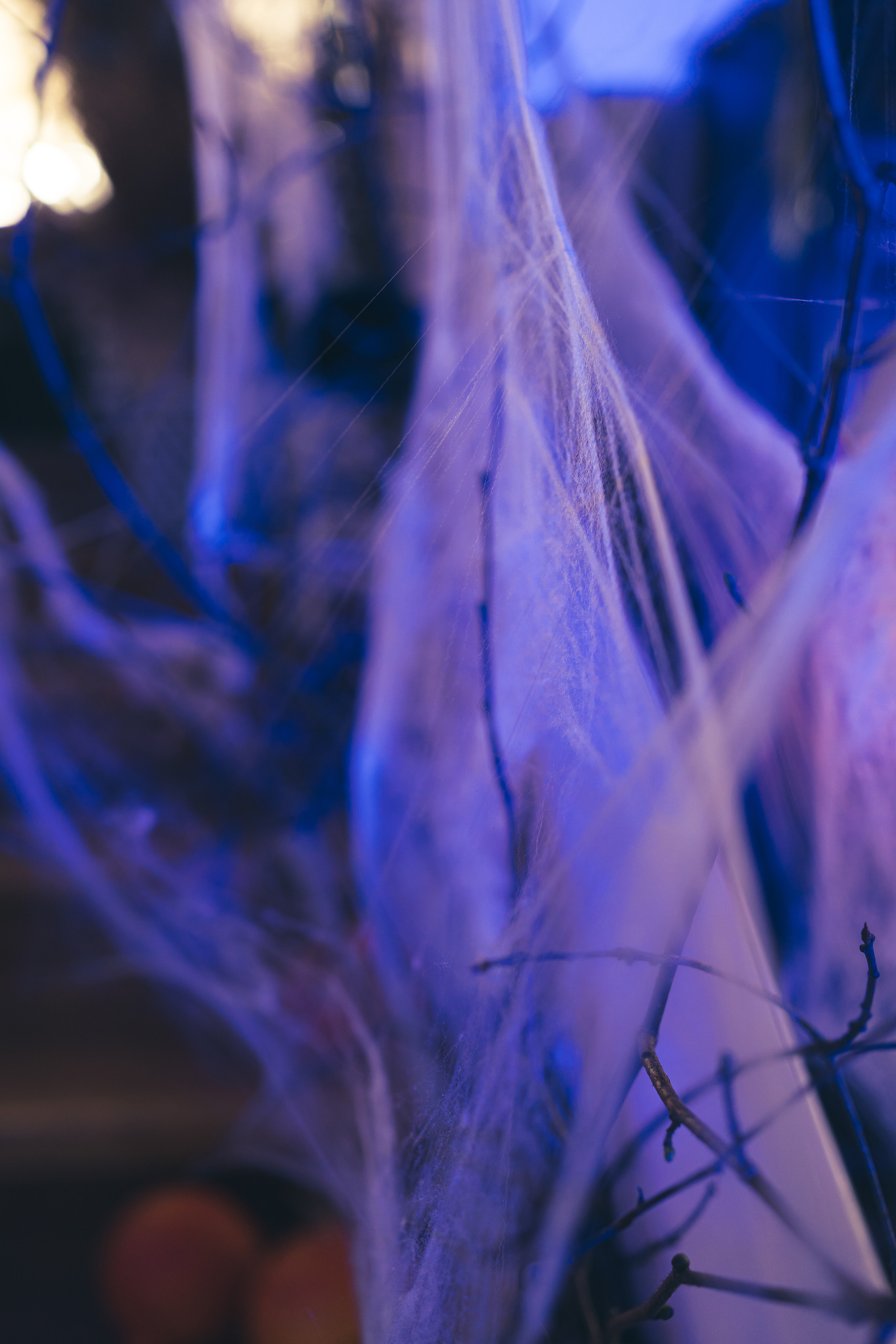 HALLOWEEN IN SILENE. Montenegro photographer and videographer