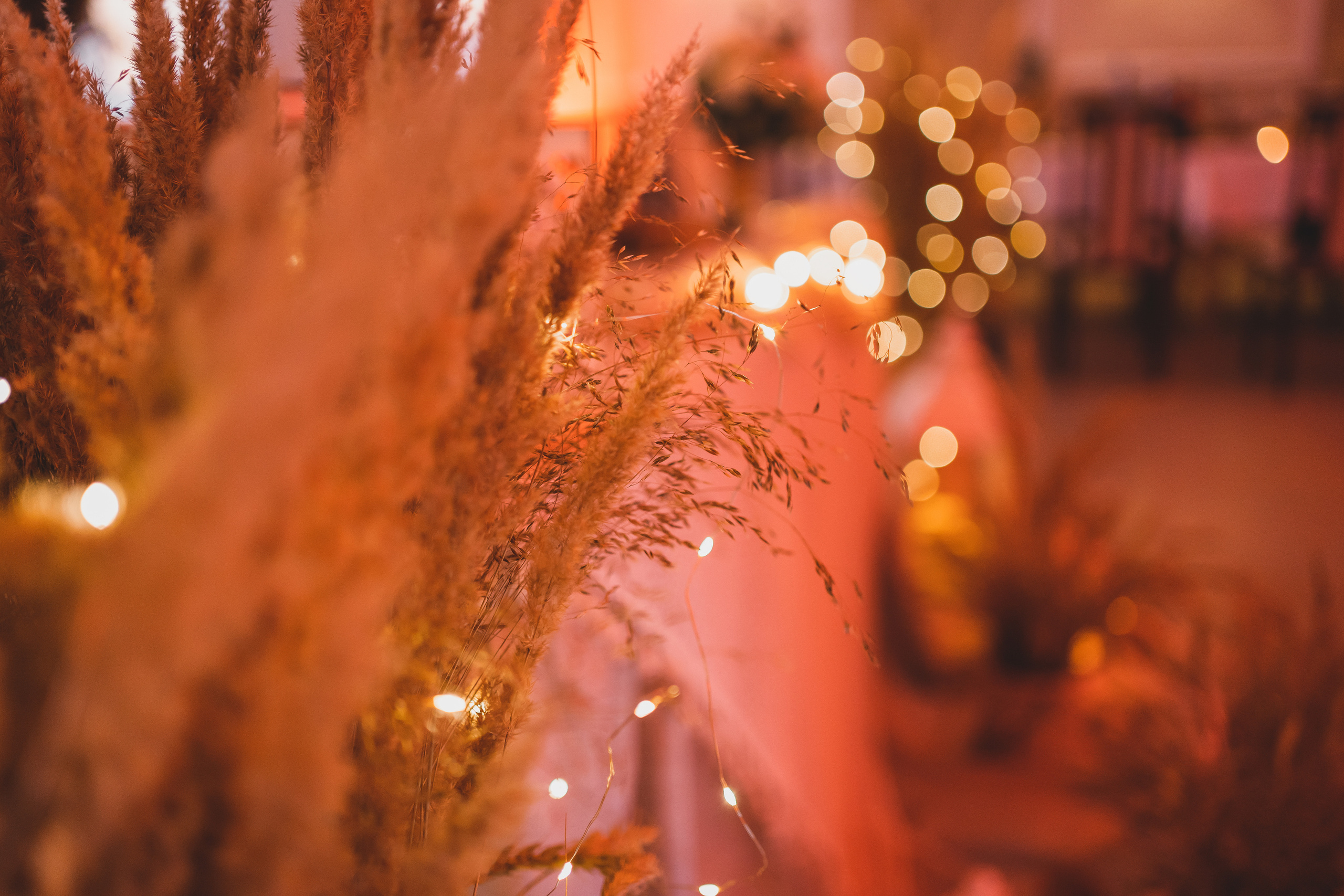 E&N. Montenegro photographer and videographer