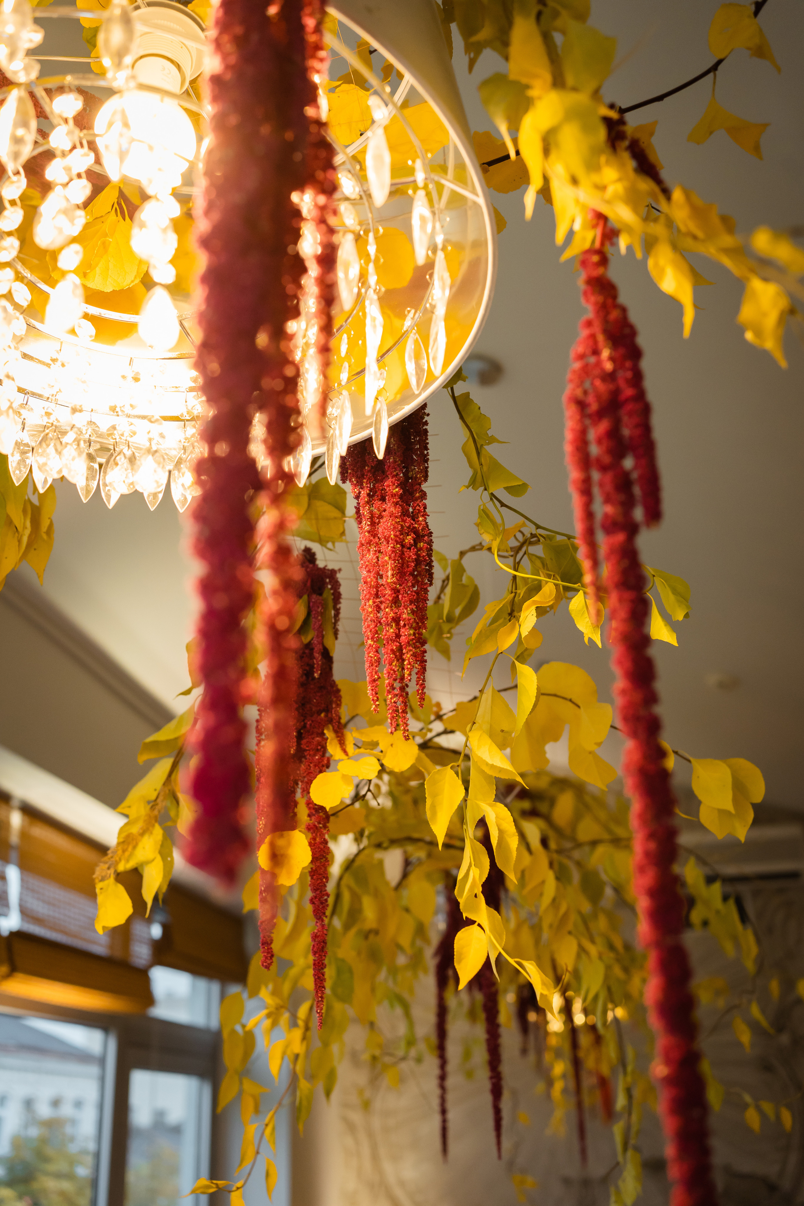 BIRTHDAY IN VĒSMA. Montenegro photographer and videographer