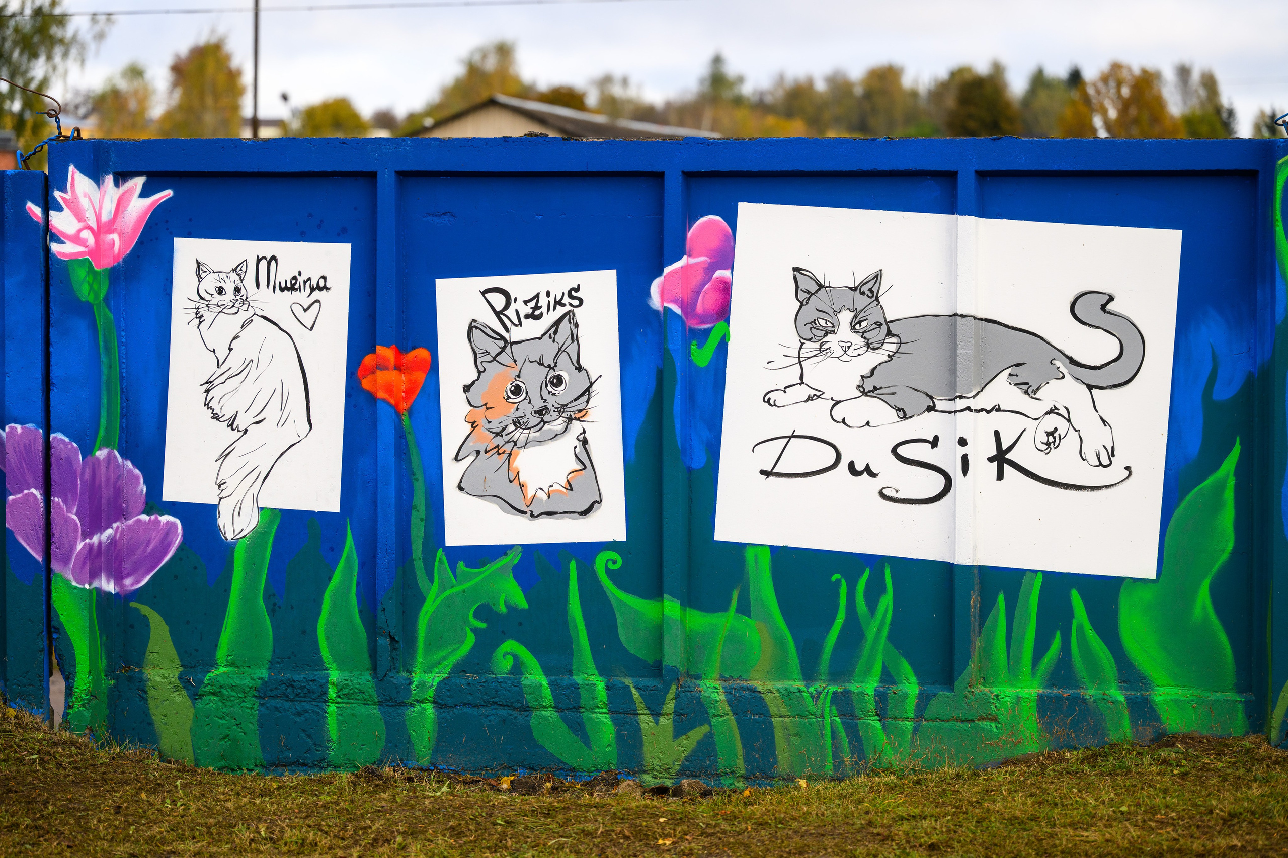 Rēzeknes dzīvnieku patversmes izglesnotās sienas atklāšana. Ritvars Pujats Emotion Photographer