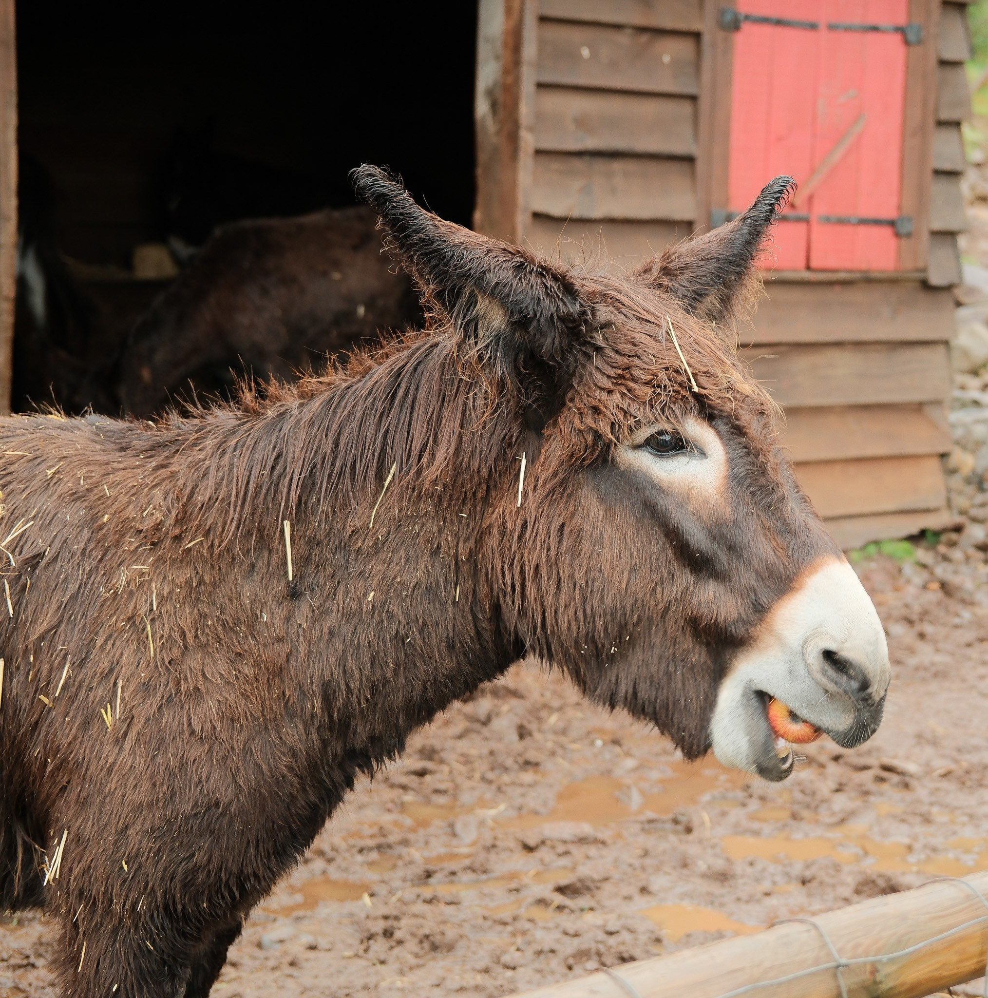 Madeira 2025. Cal Takes Photos