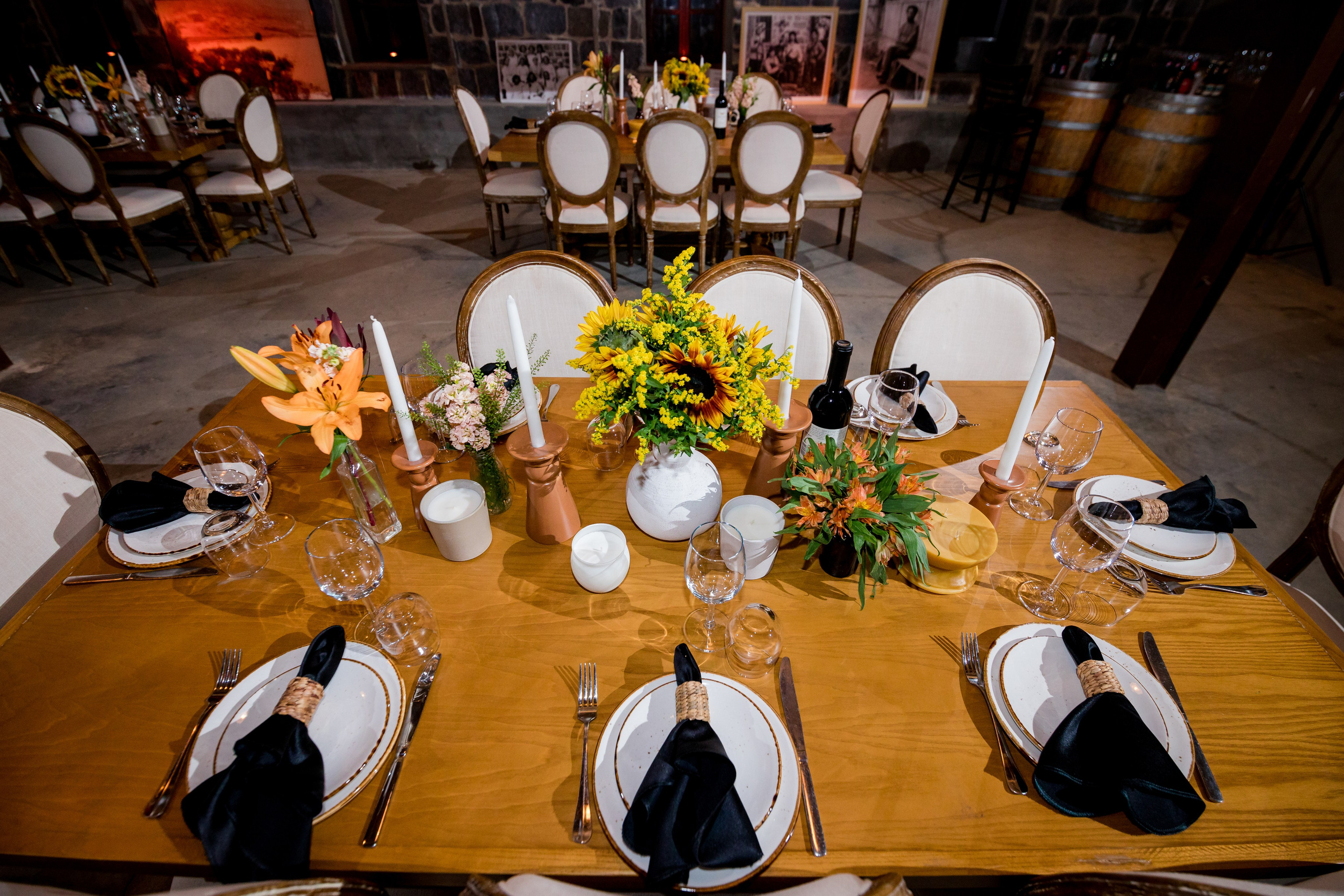 זרעי גדרה — SYNGENTA. AMIR BUCHNIK PHOTOGRAPHER