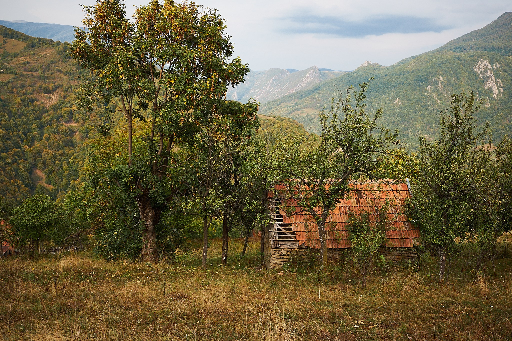 Ineleț, jud. Caraș-Severin. Pagina principală