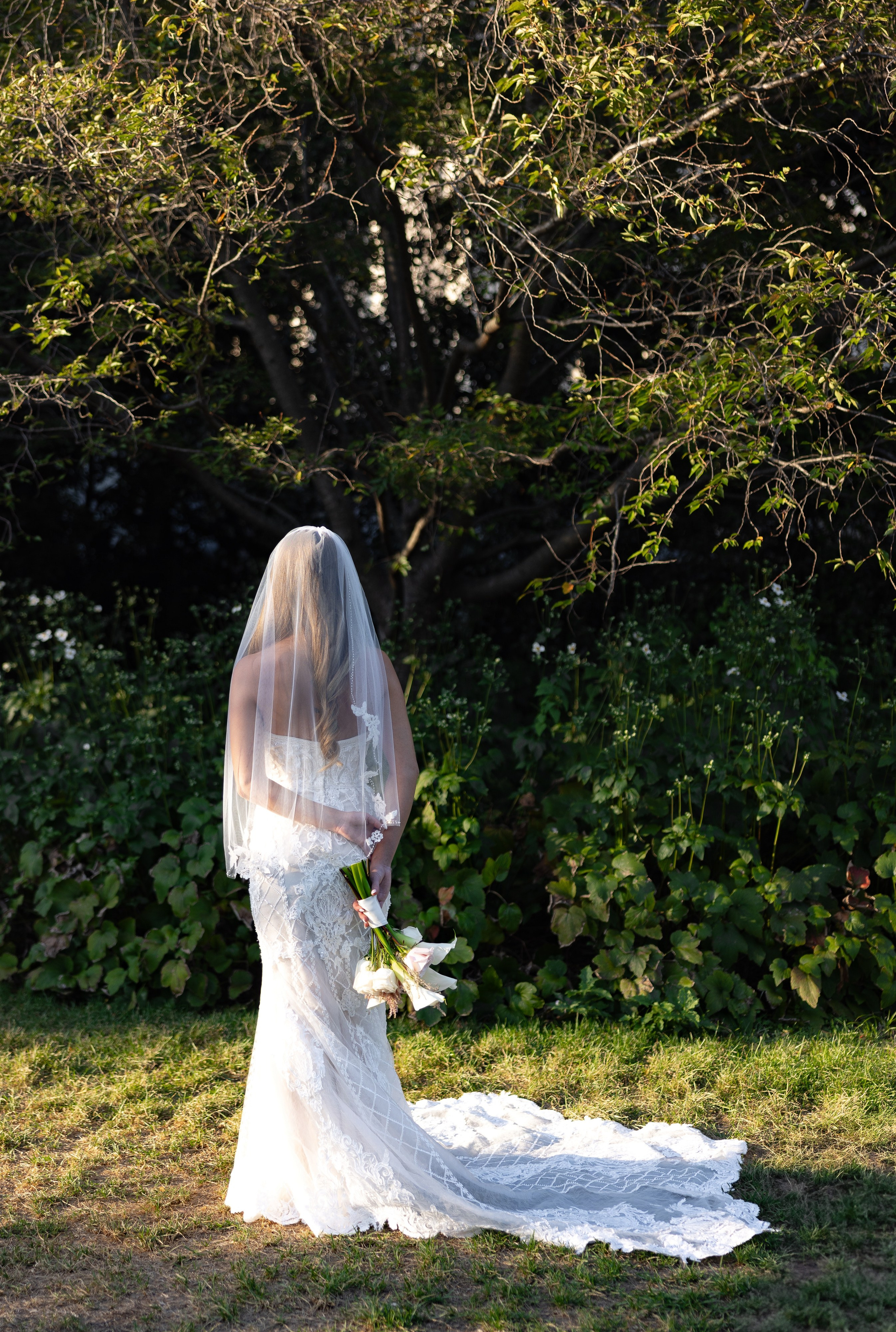 Nina and Arjun. Intimate Elopement in Washington DC. Photographer Anastasia Nagibina
