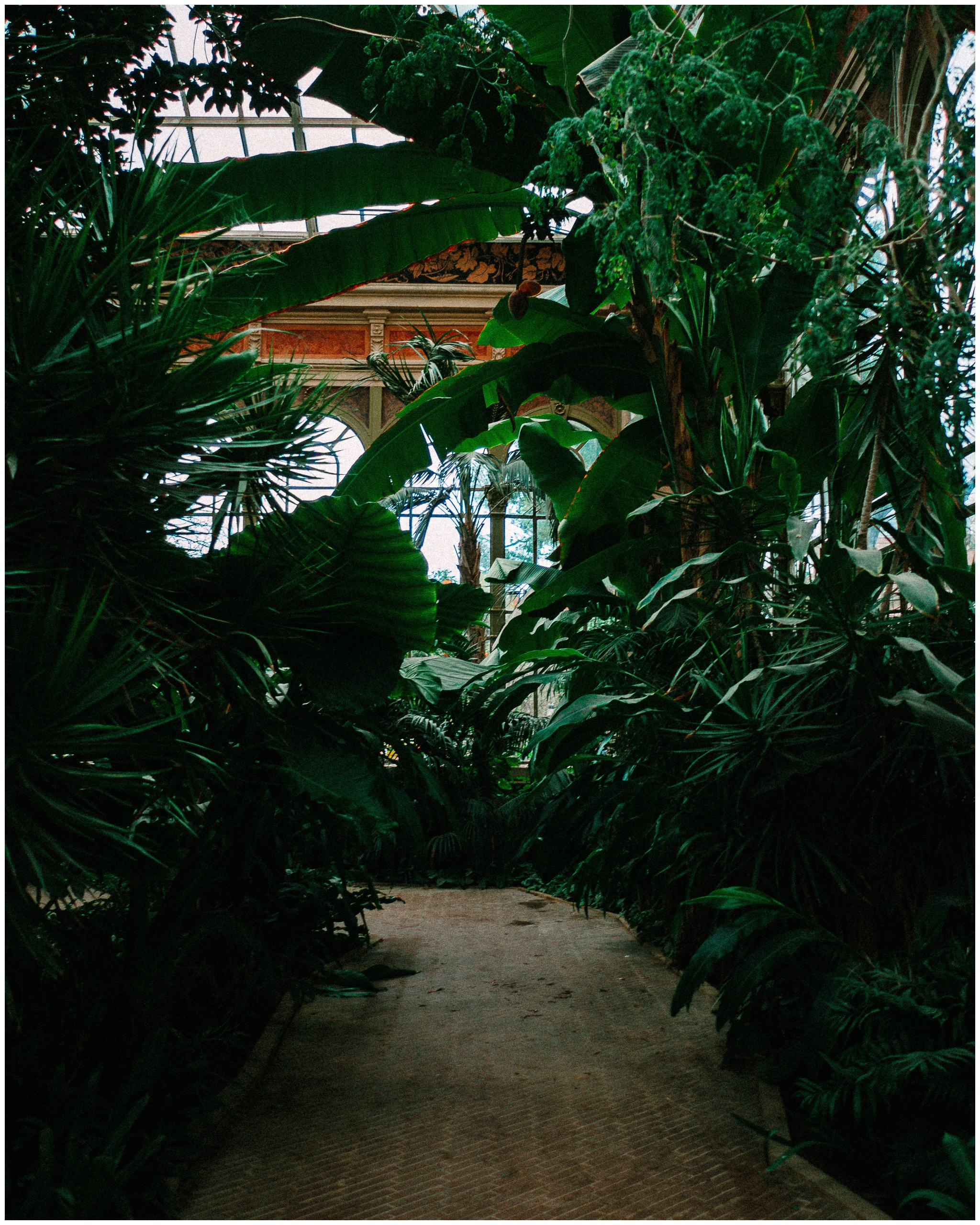 BARCELONA. Inna Mendelson — Photographer