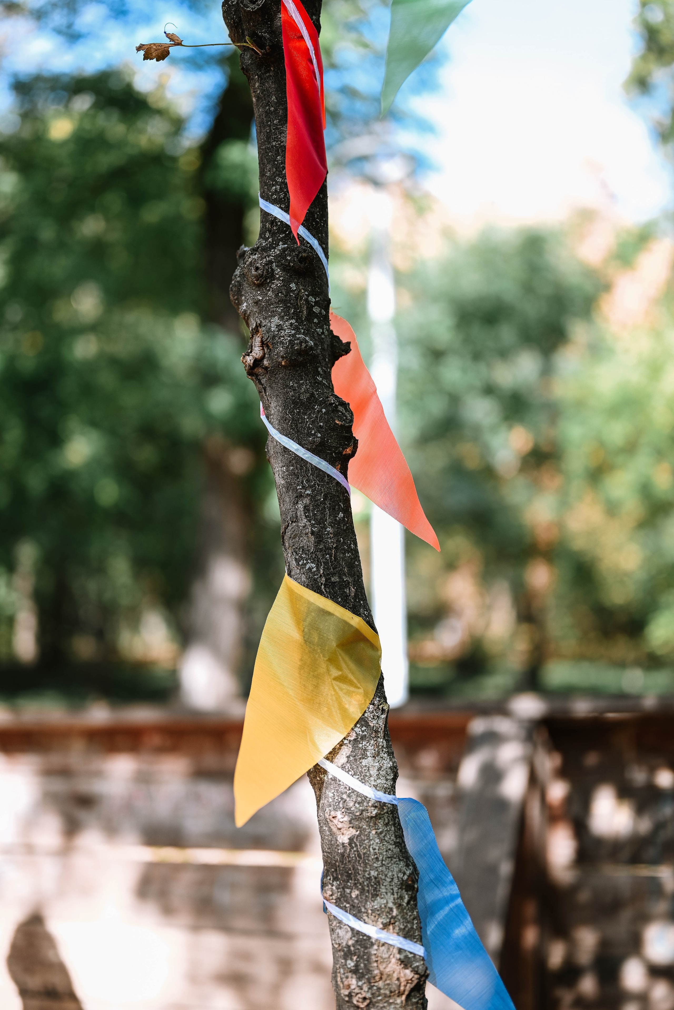 Novak 5. rođendan. Dečiji i porodični fotograf