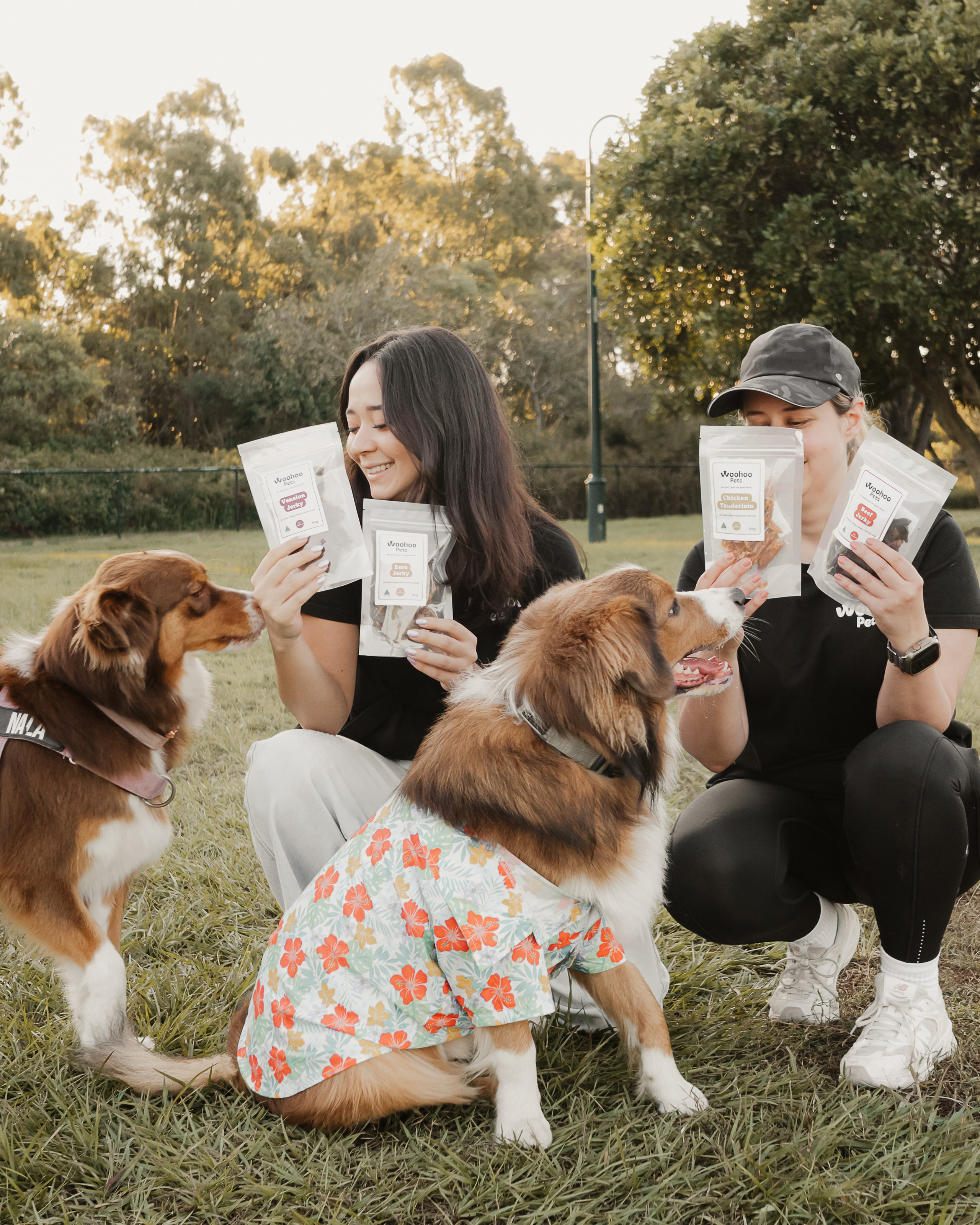 Dogs. Natural and candid photography Jean Santiago