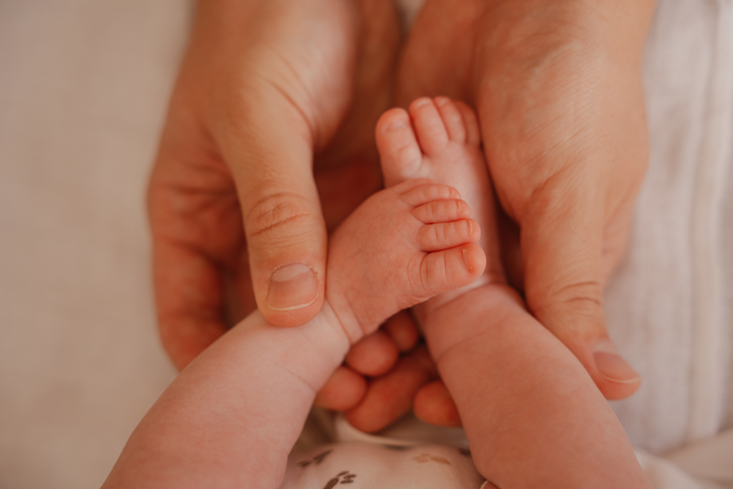 Porodična fotografisanja. Porodični fotograf