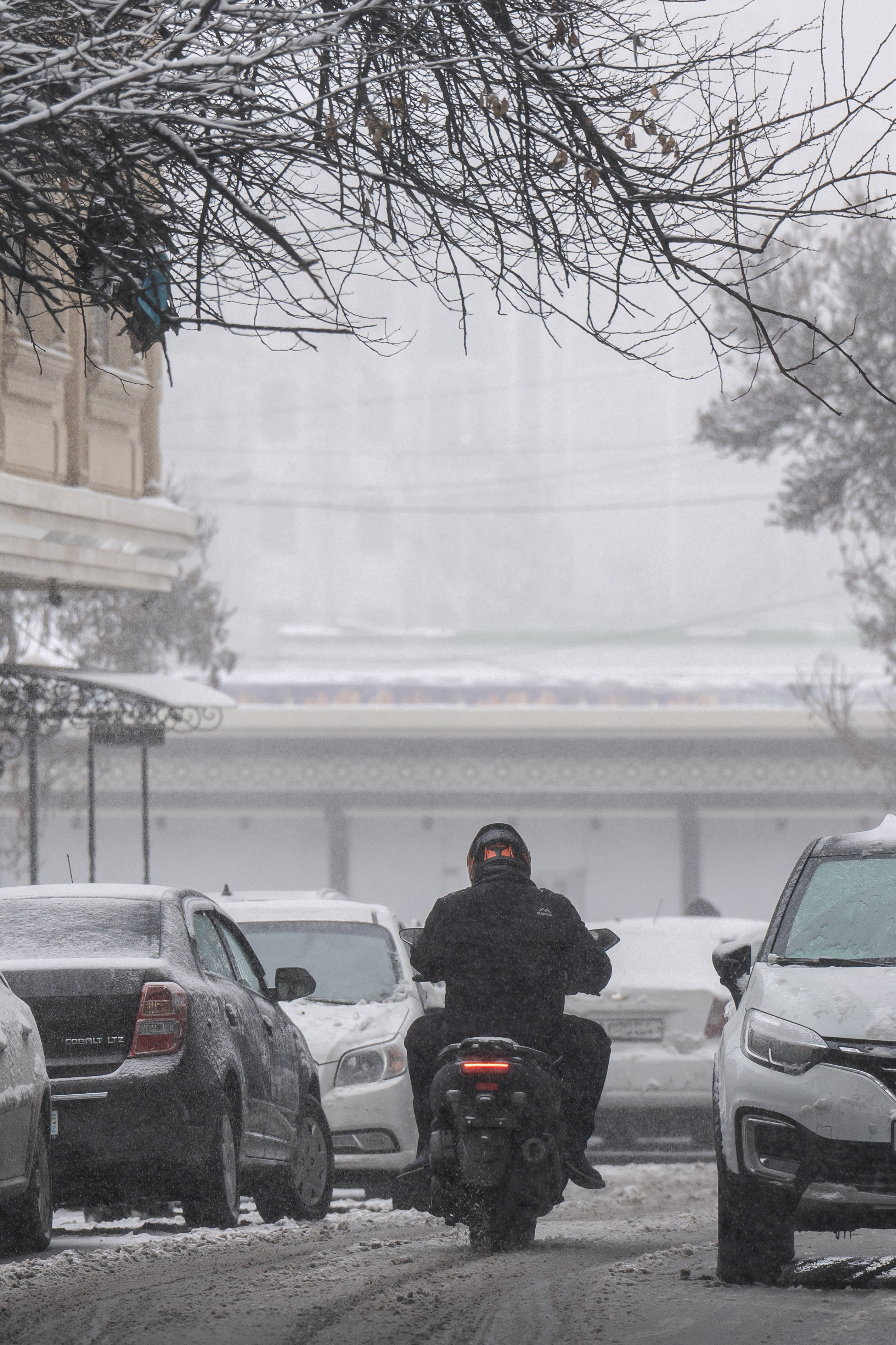 Снег. Георгий Намазов | Фотограф в Ташкенте