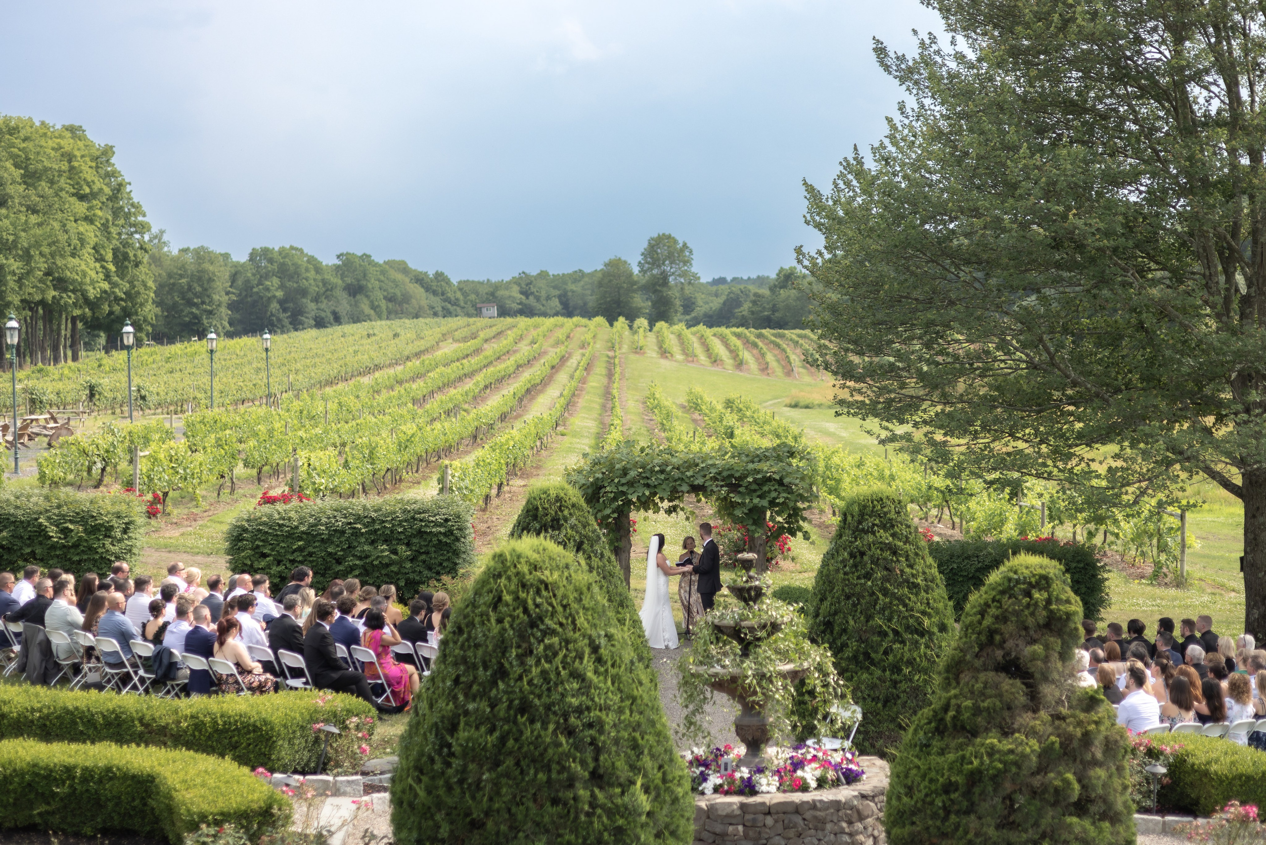 Angelica & Conor. Wedding Photo & Video