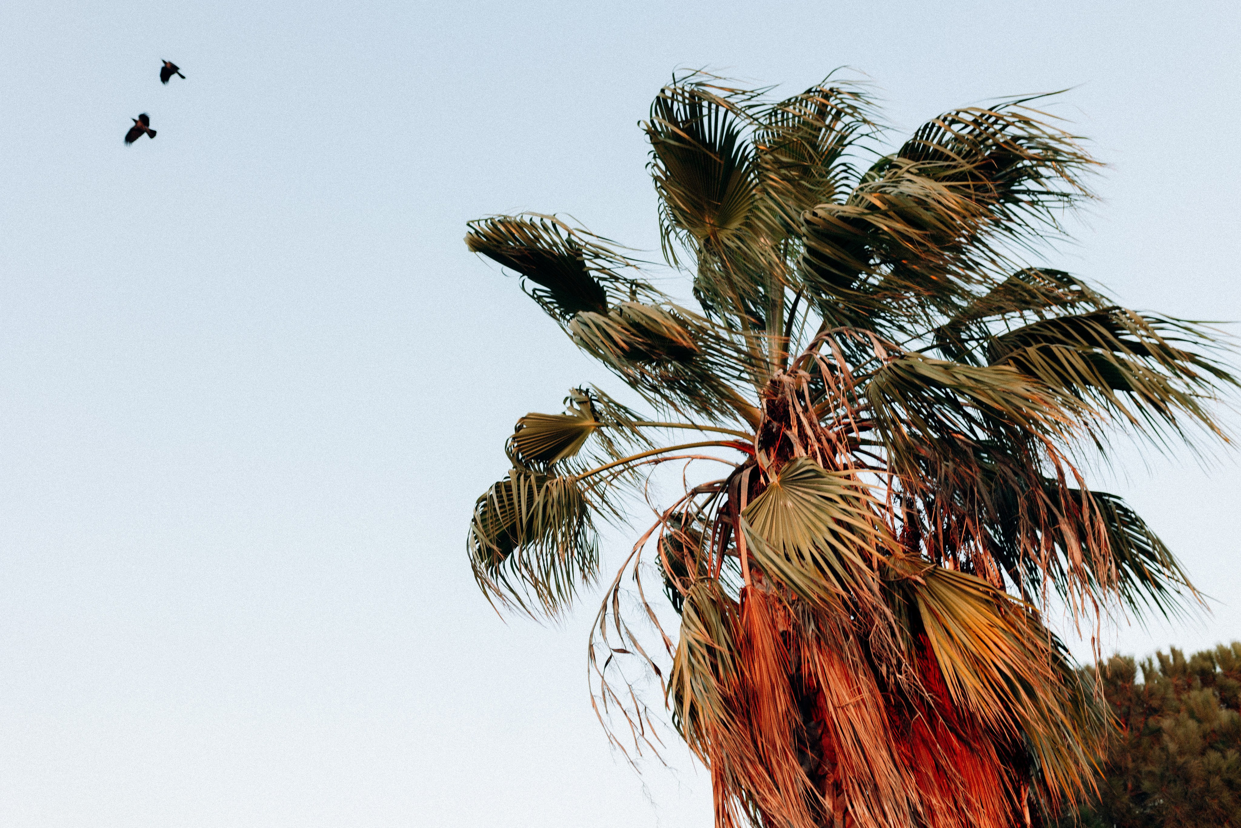 Us & Always. Https://shi-photo.com/