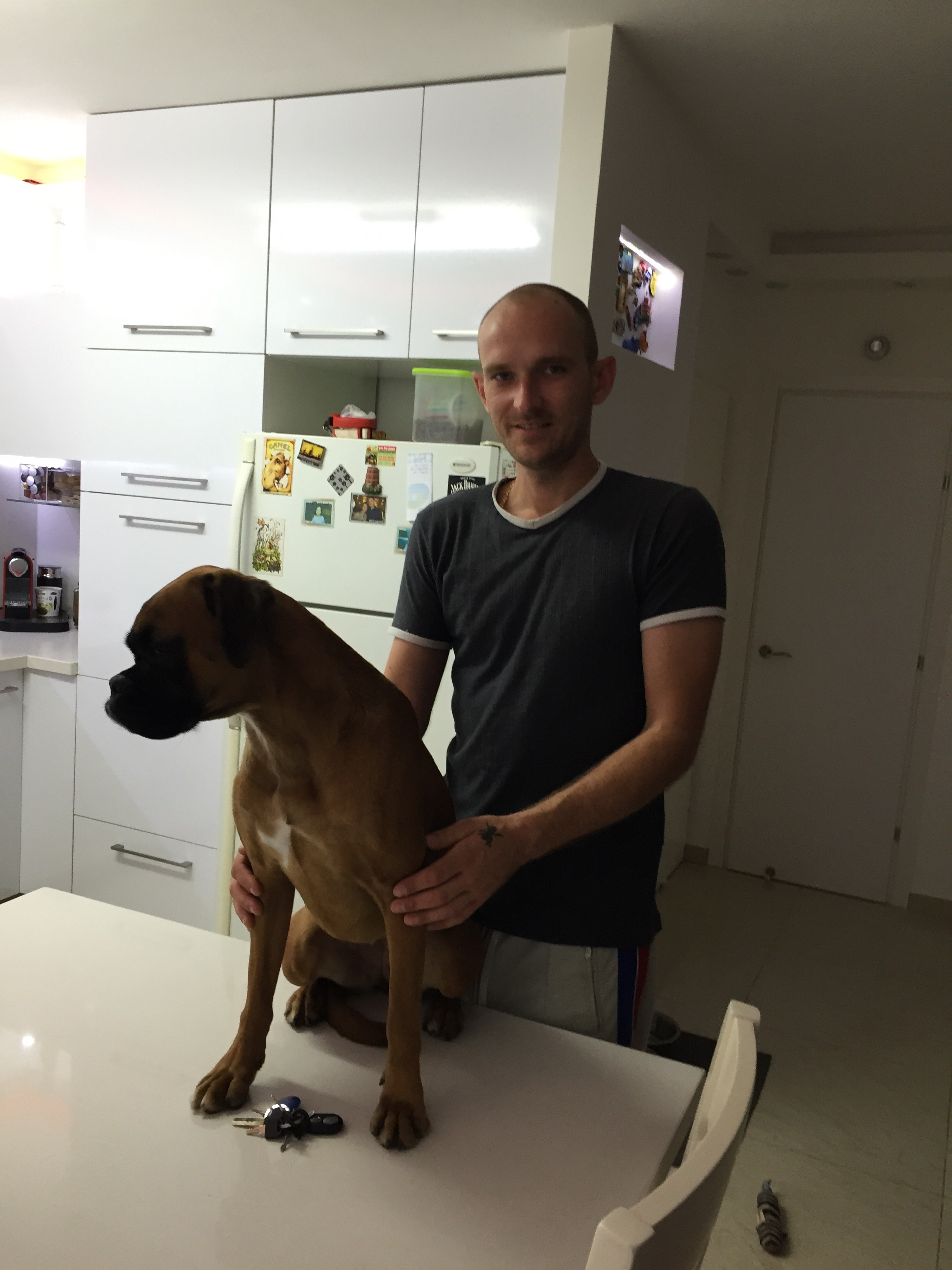 My ״Star״ Boxer Dog