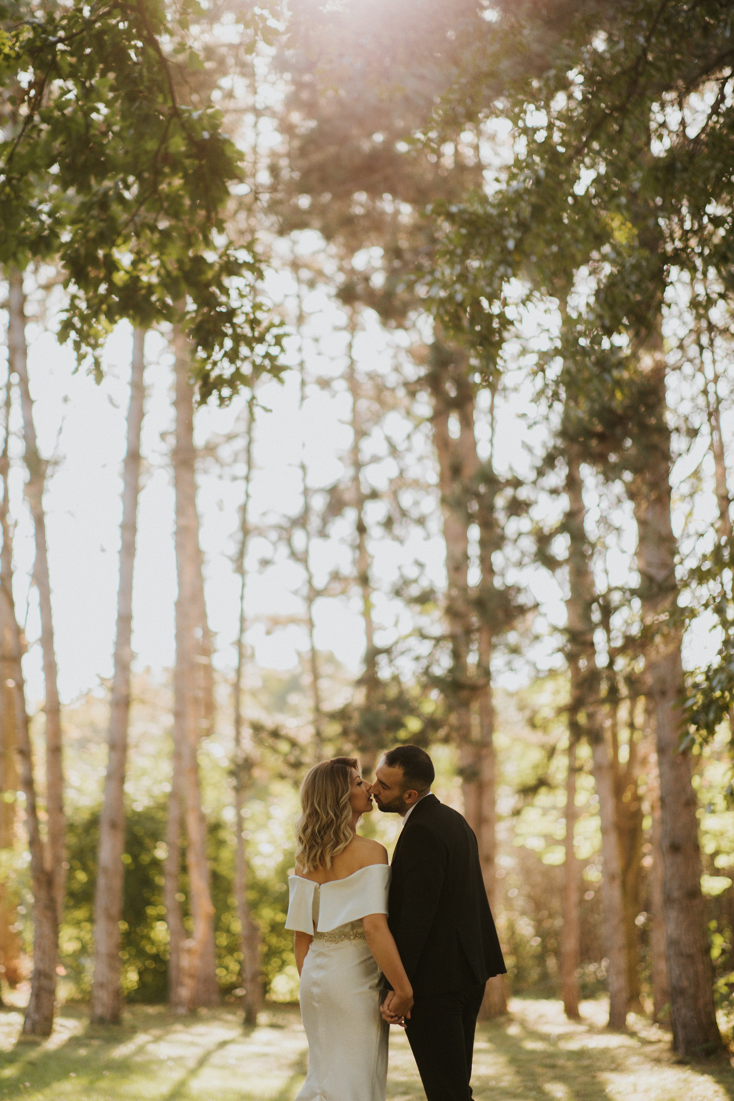 Photography. Alexandar weddings: Home