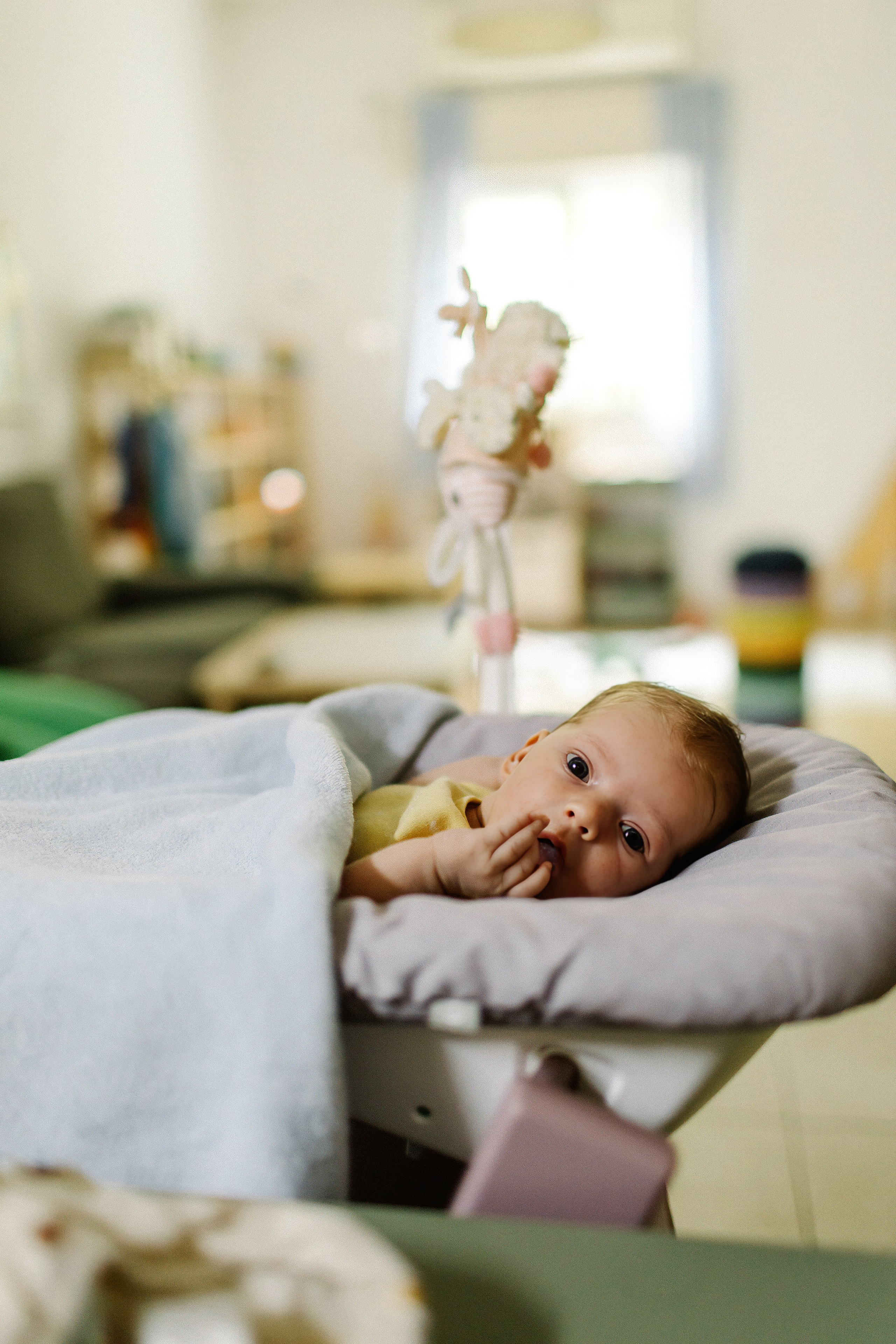 Ella 2 month. Family photographer in Israel