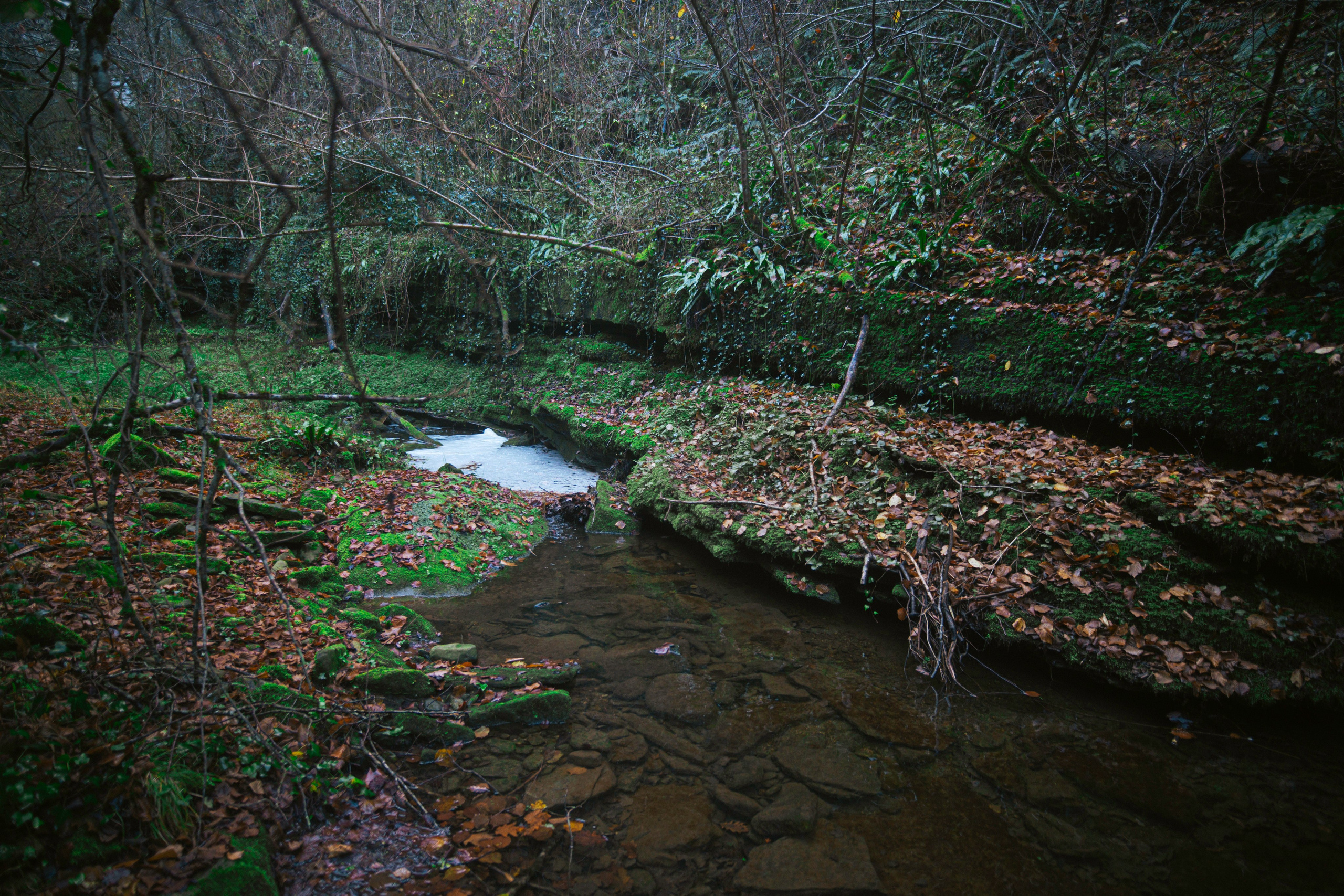 Rupit. Alba del Norte Studio