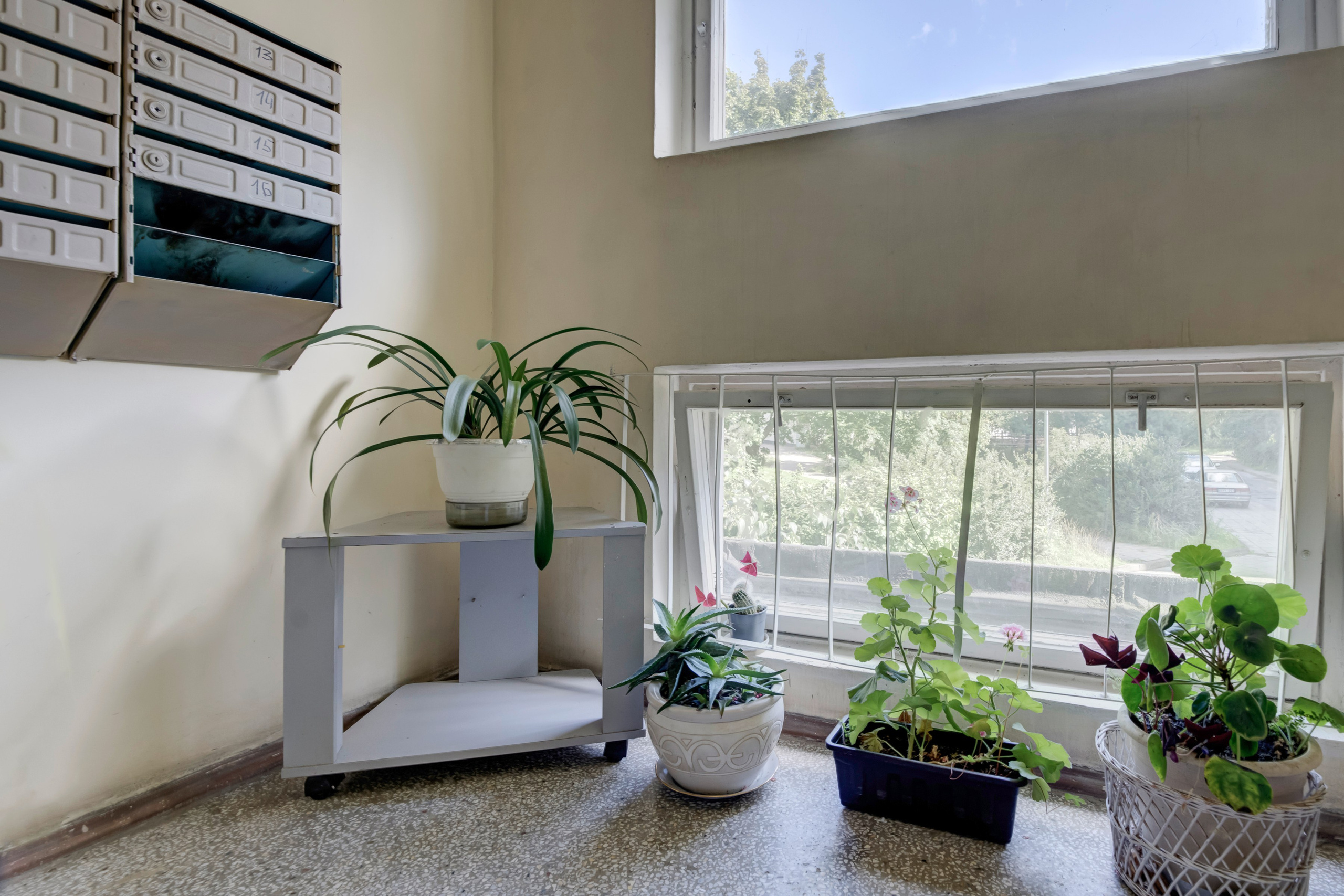 Gabijos g. Elina Sapiega fotografė Vilniuje