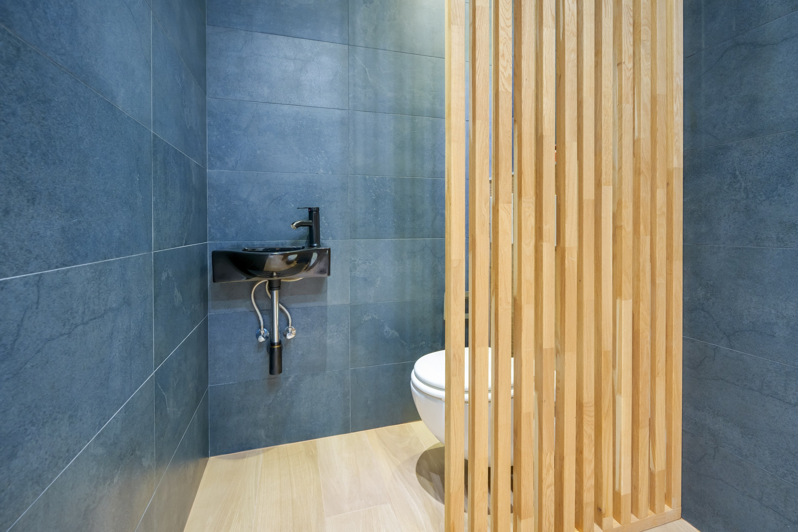 Riešė, namas. Elina Sapiega fotografė Vilniuje