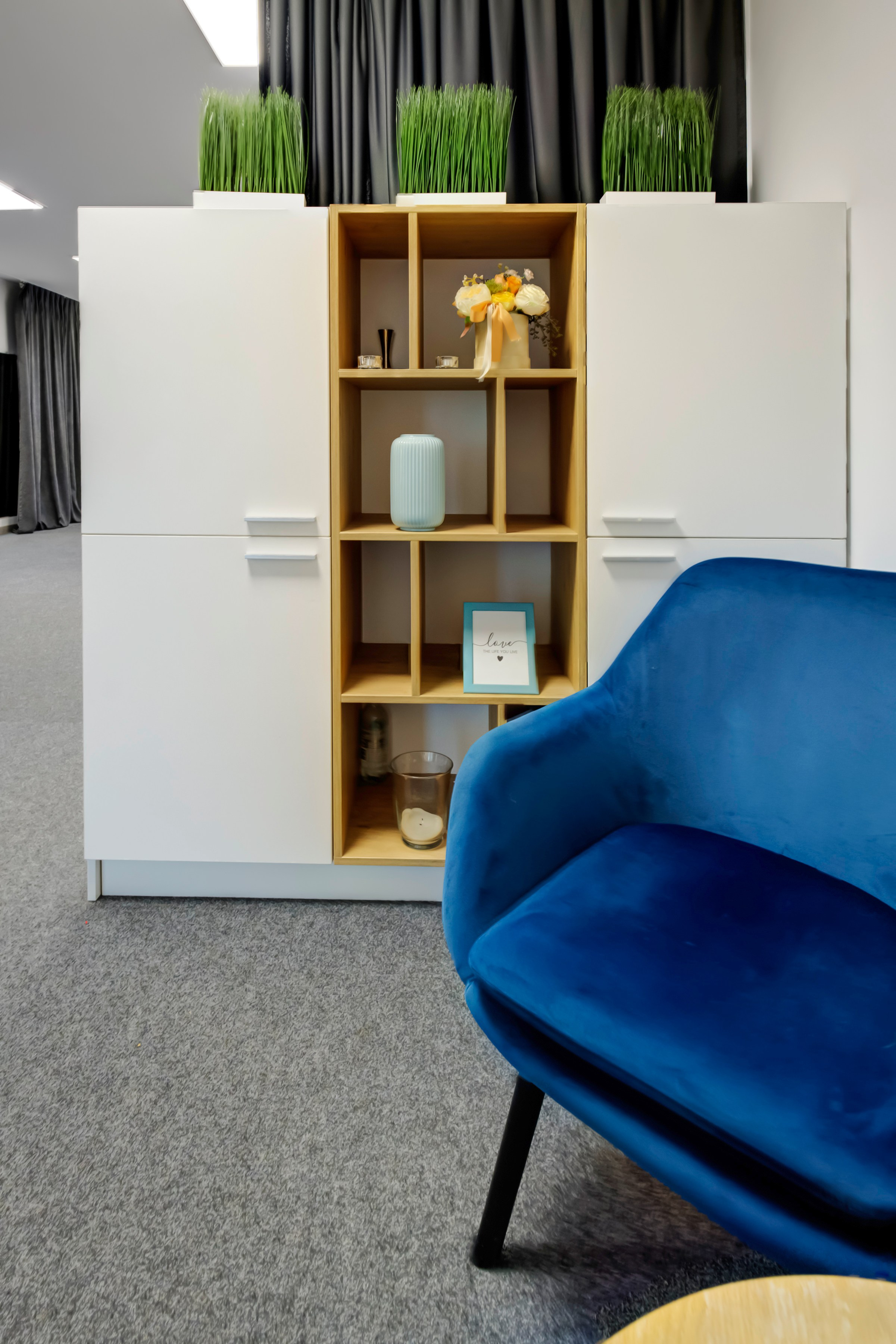 Saltoniškių g. 31. Elina Sapiega fotografė Vilniuje