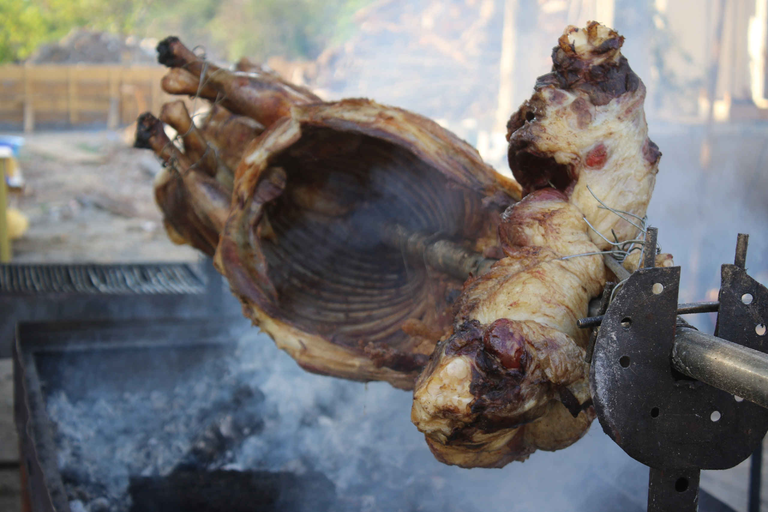 22 08 2024. PETRU BYZO - family and children photographer in ROMANIA