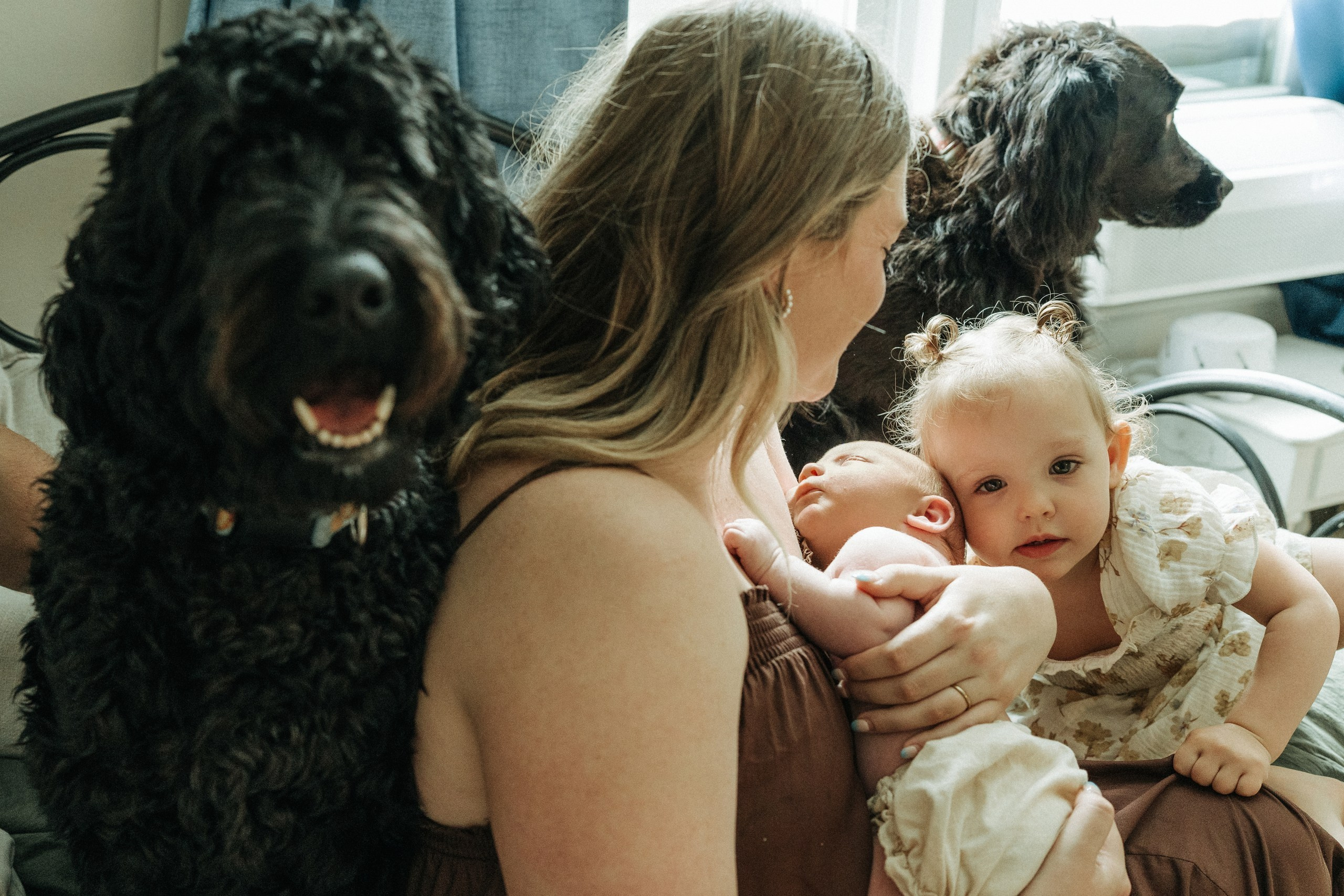 Emily, Kinsley, Kyle, Jace. Alisa Tant — Family and newborn photographer Bucks County, Montgomery county, Philadelphia, NJ