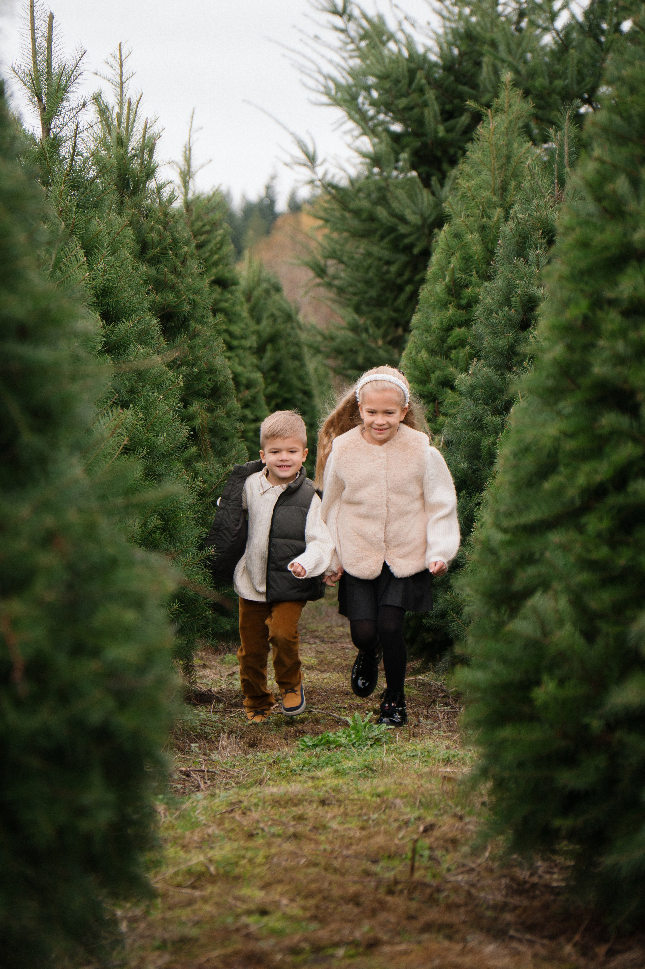 Christmas sessions. Photographer in Washington Sophia D