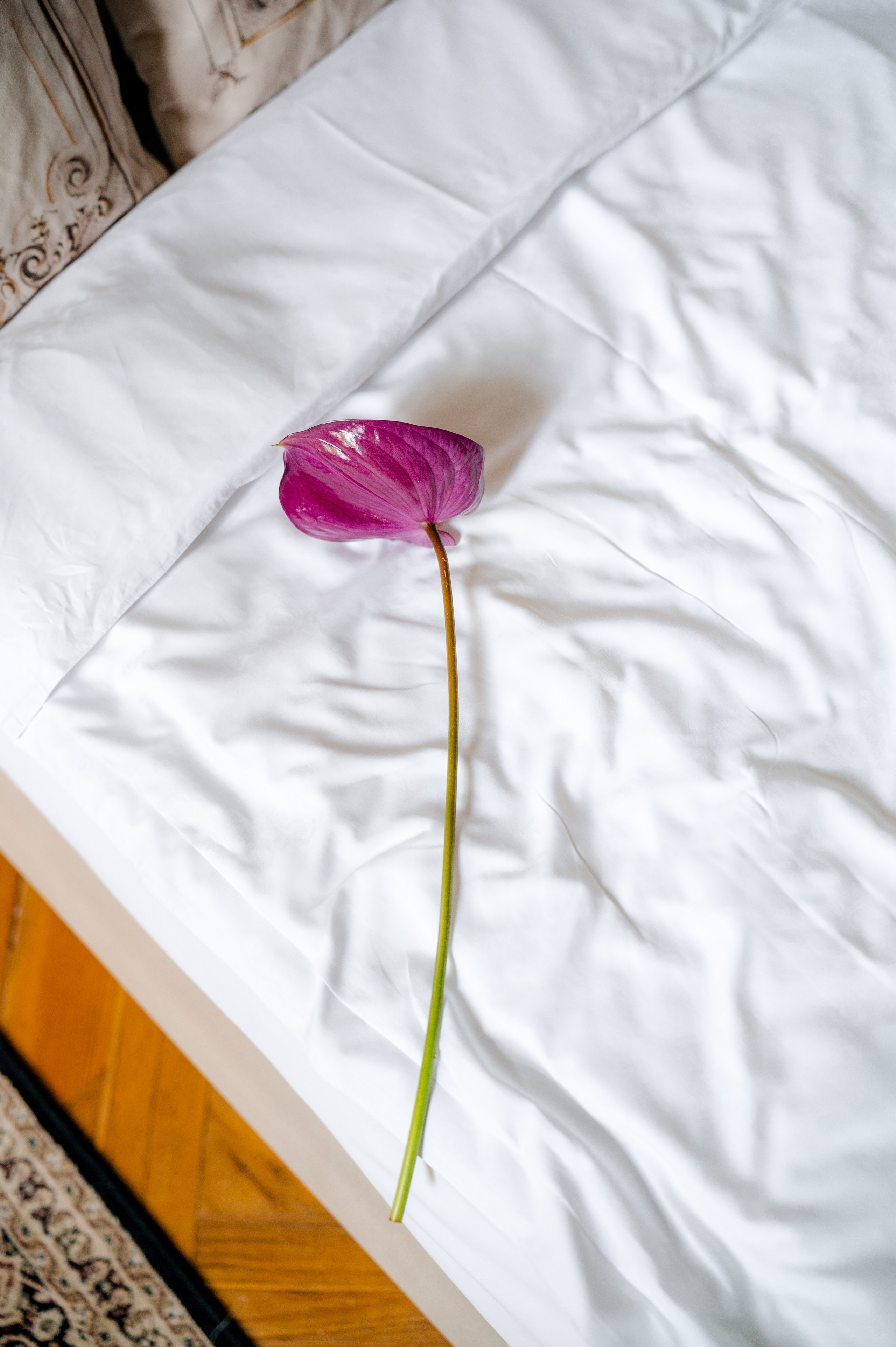 Petr & Kristina. Destination Wedding photographer Italy, France, Germany, Spain, Poland Oleg Zaicev